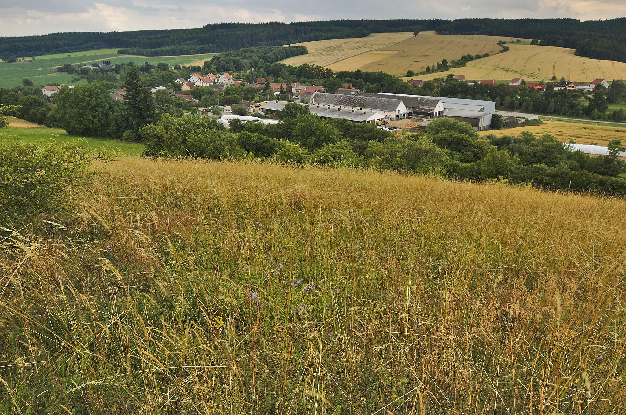 Photo showing: Přírodní památka Na Kozénku, Dzbel, okres Prostějov