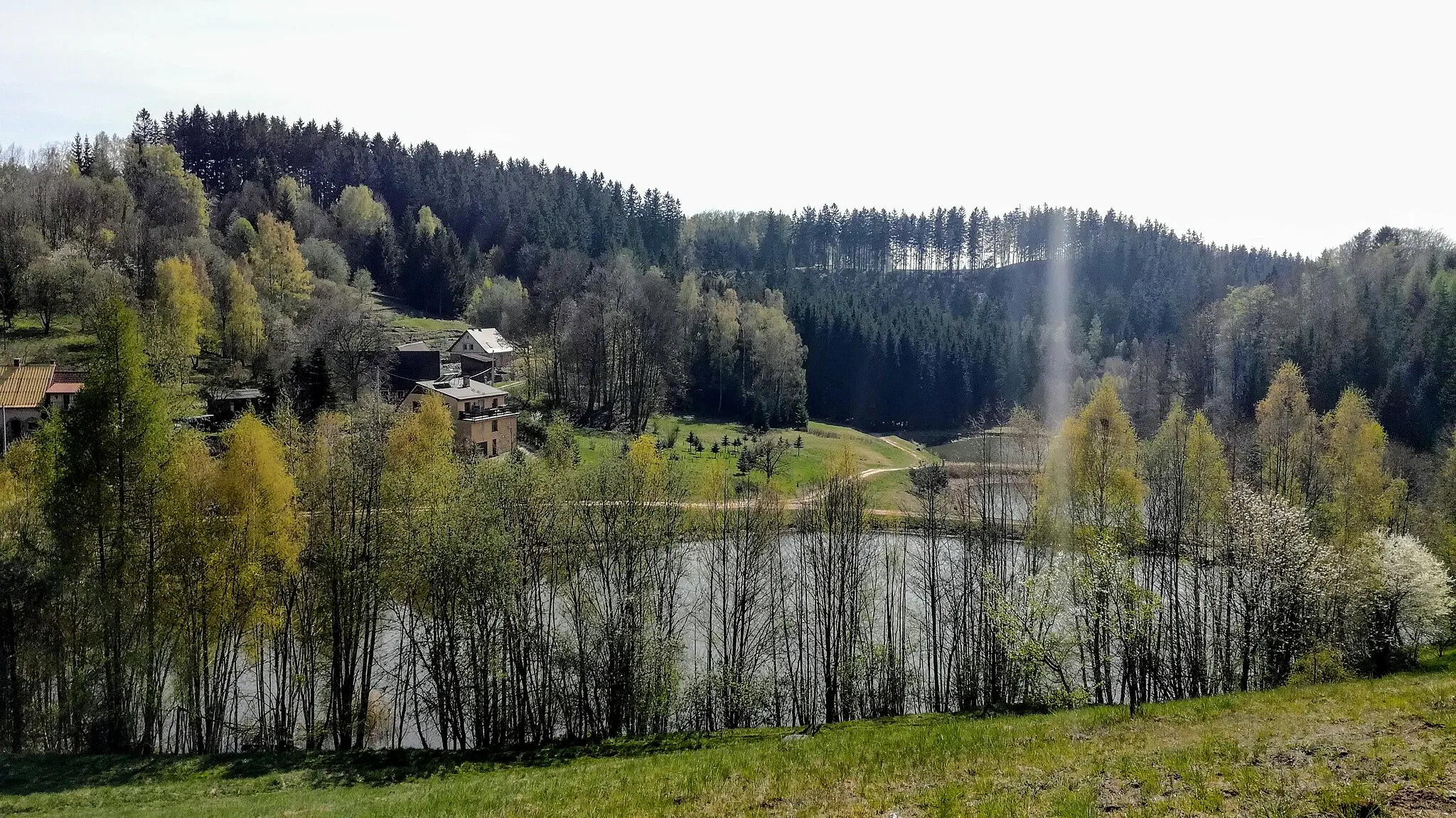 Photo showing: Rybníky na horním toku Strouženského potoka