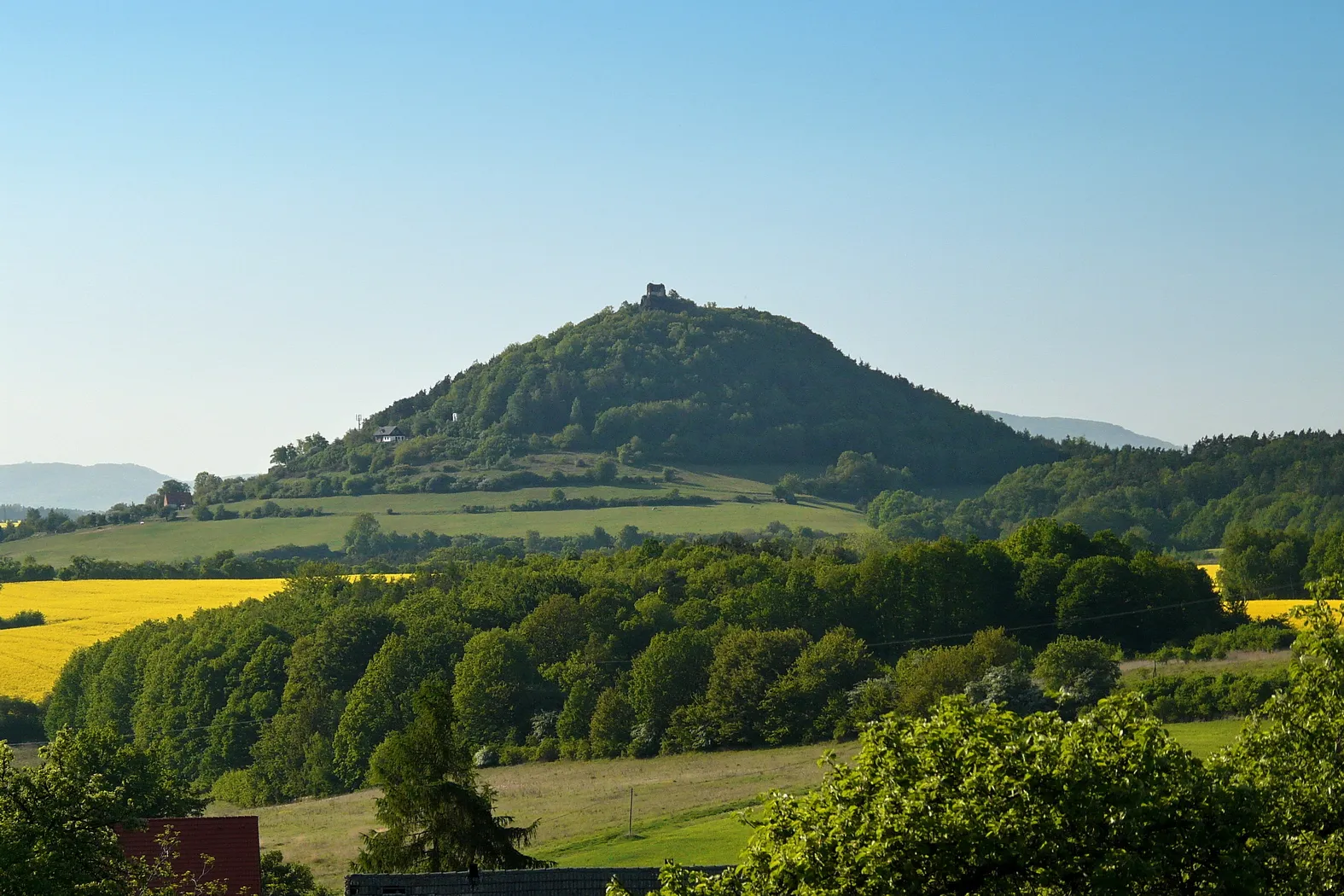 Photo showing: Berkovský vrch z úpatí Koreckého vrchu