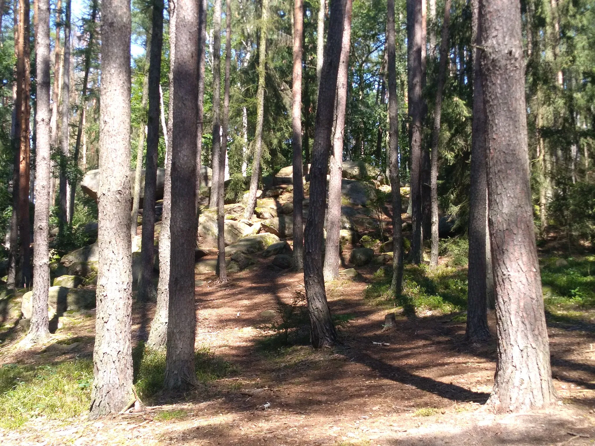 Photo showing: Skalní útvar Obří postele u Zdechovic.