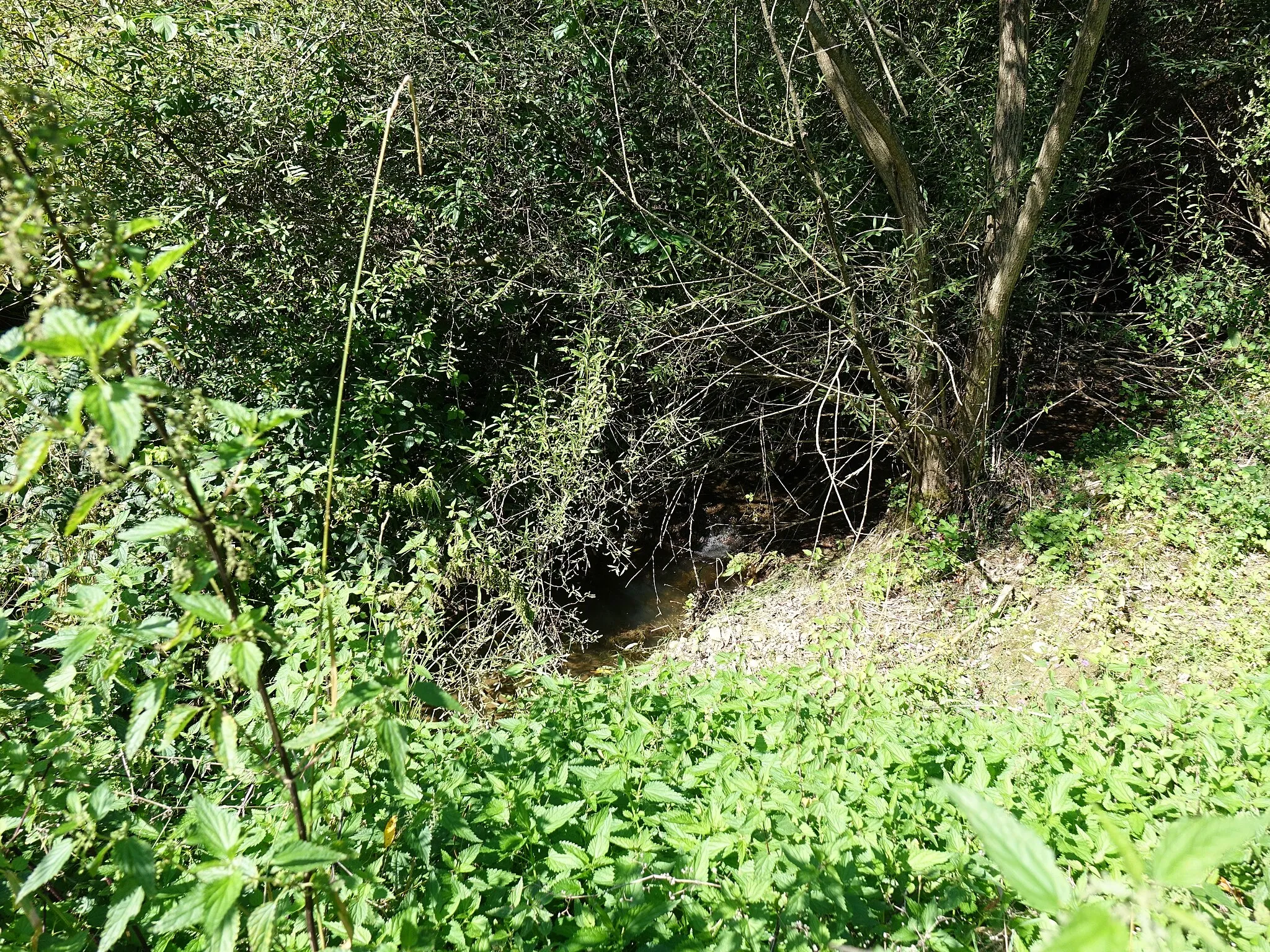 Photo showing: Kopce je miestny názov pre časť chotára obce Sedlice. Lokalitu charakterizuje jej umiestnenie na východ od obce, na konci Bajerovskej ulice. Okres Prešov. Slovensko. Potok Viselec