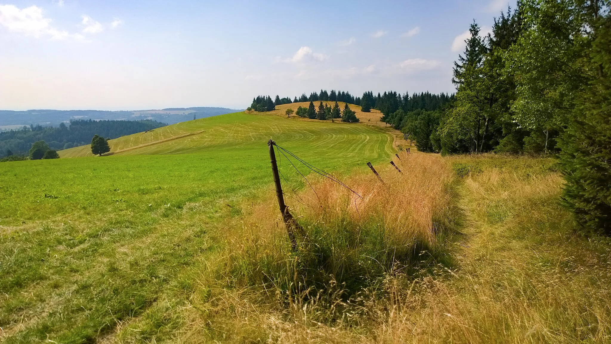 Photo showing: Panský vrch - border of the Czech Republic and Poland. View from the below, Olešnice v Orlických horách direction.