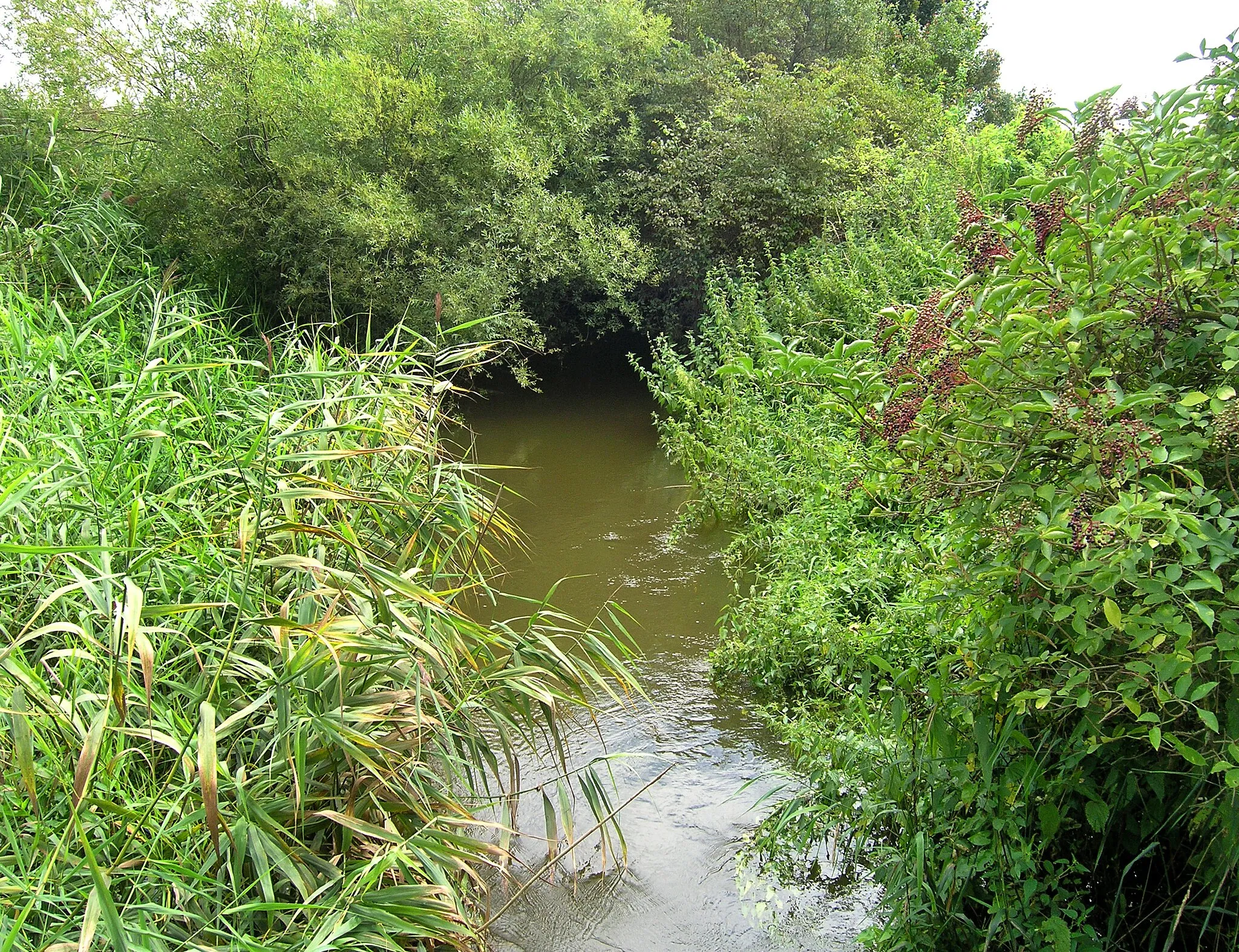 Photo showing: Čertovka creek in Lišice, part of Svatý Mikuláš village, Czech Republic