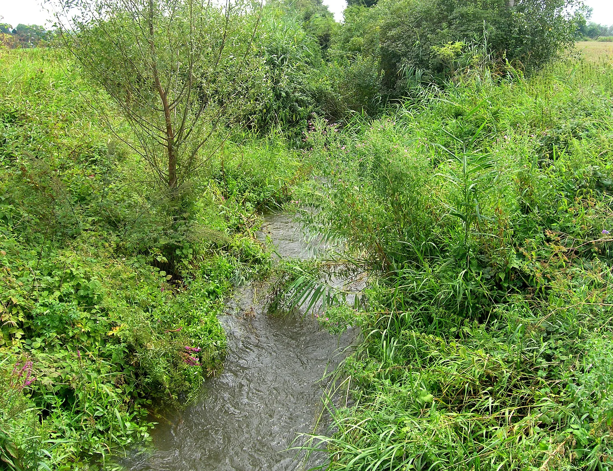 Photo showing: Čertovka by Habrkovice, part of Záboří nad Labem, Czech Republic