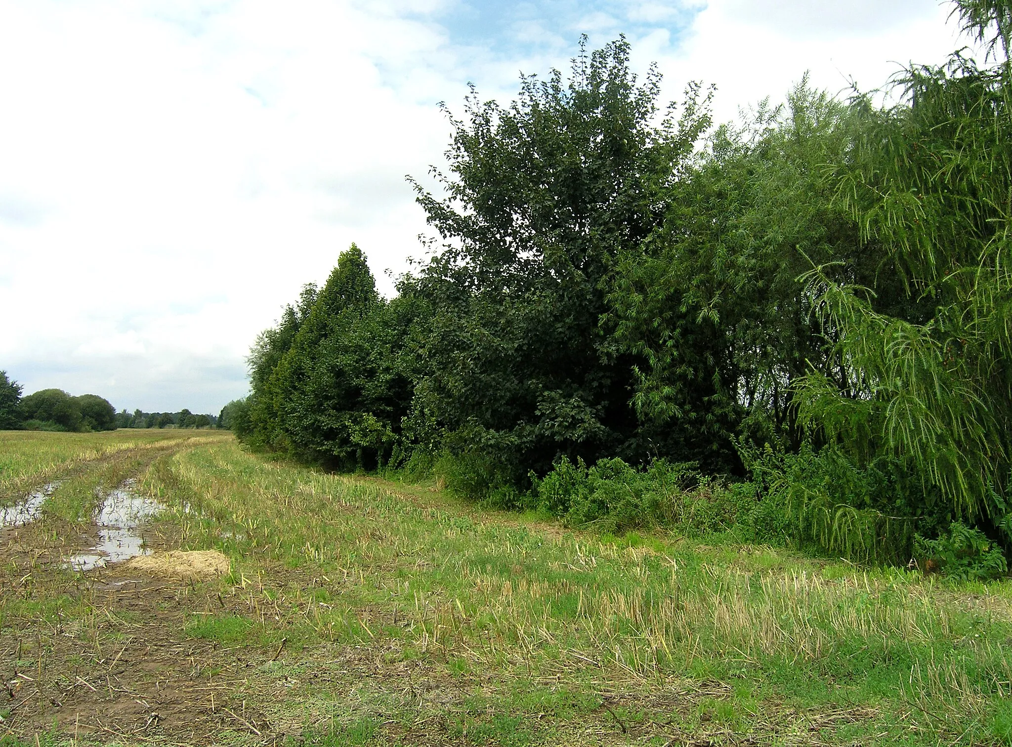 Photo showing: Landscape by Čertovka creek in Lišice, part of Svatý Mikuláš village, Czech Republic