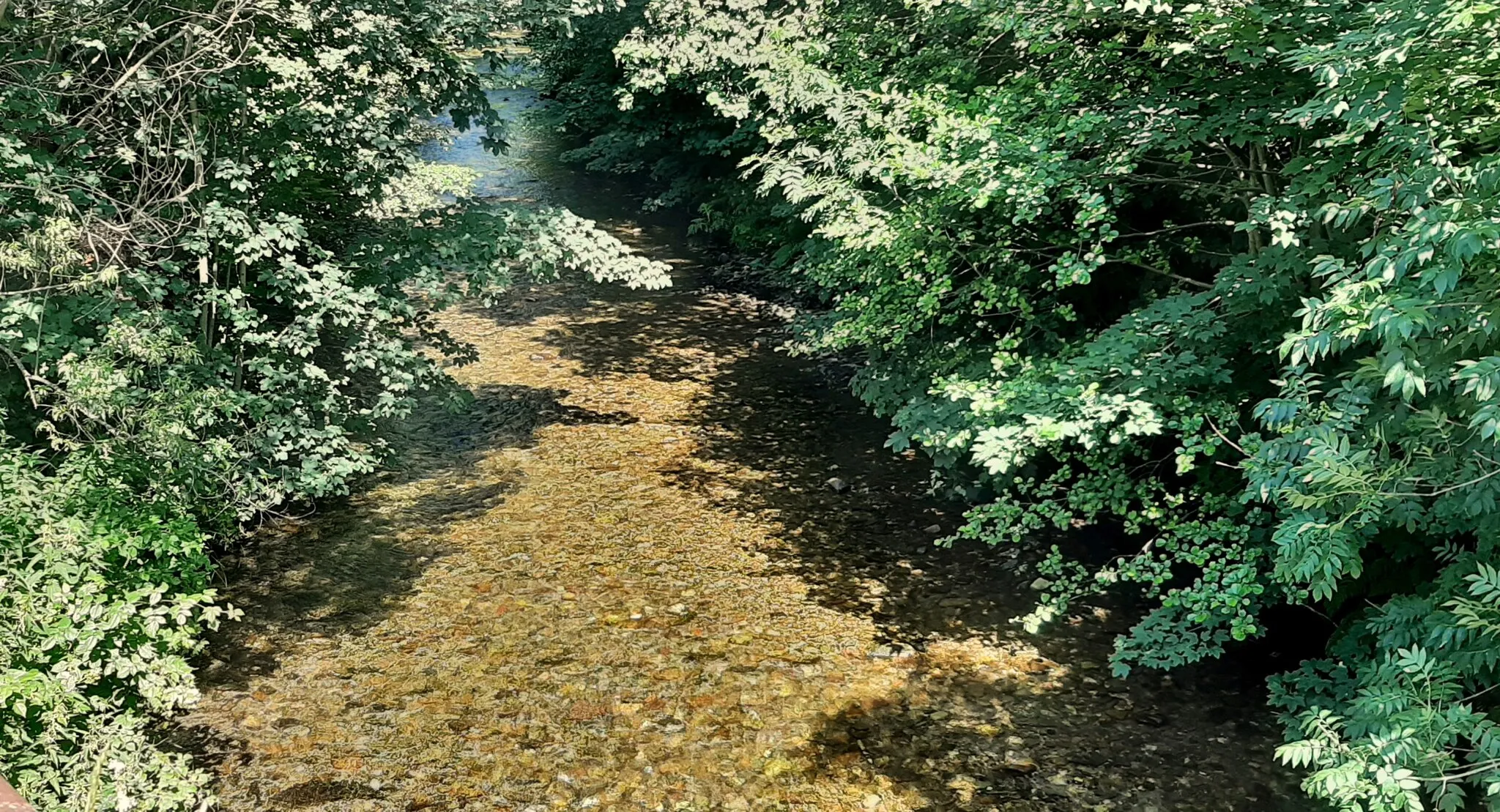 Photo showing: Jizerka creek at Jilemnice, Czech Republic.