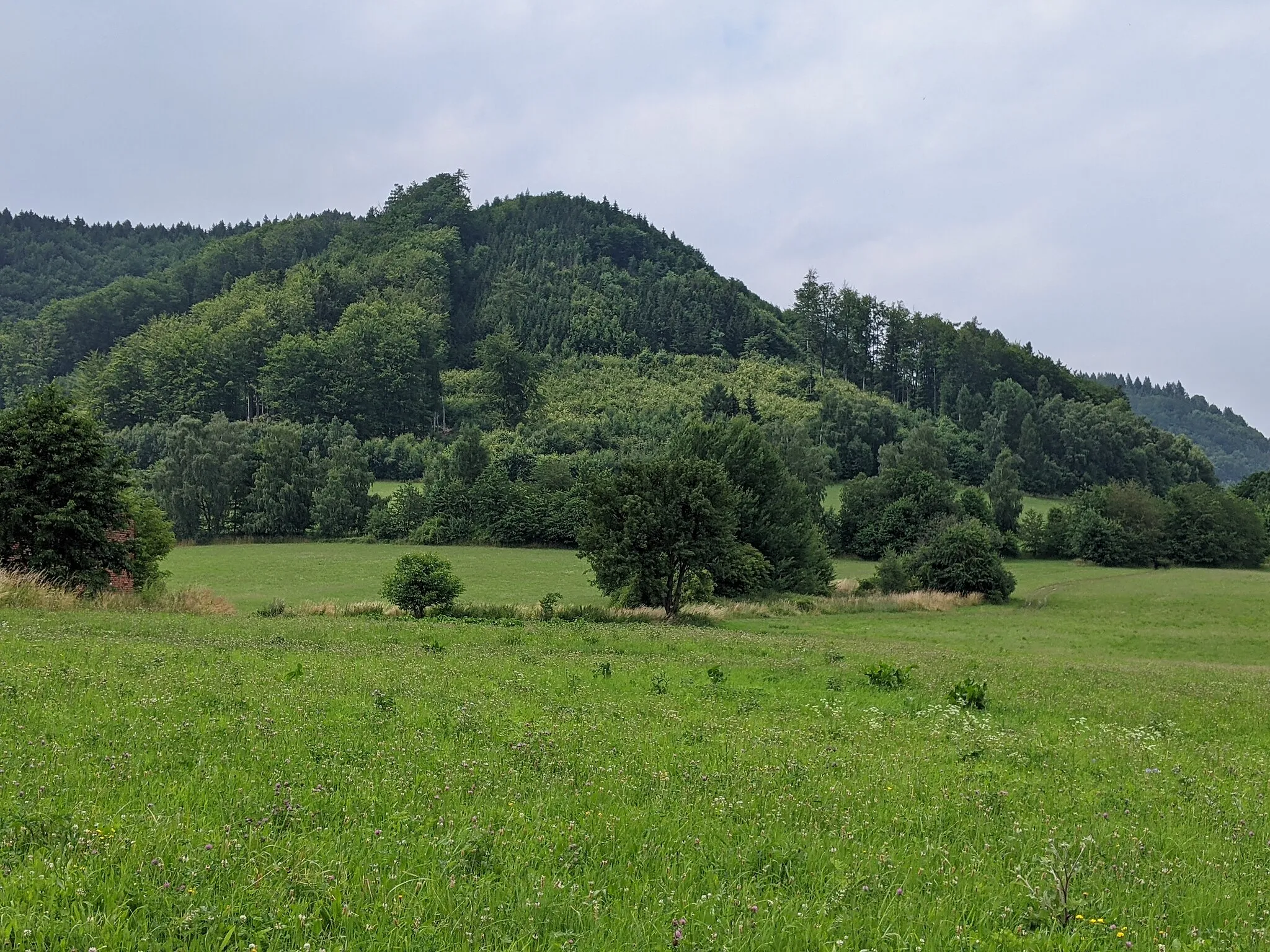 Photo showing: Mladějovské hradisko (Hausberg, 591 m) - celkový pohled od jihovýchodu
