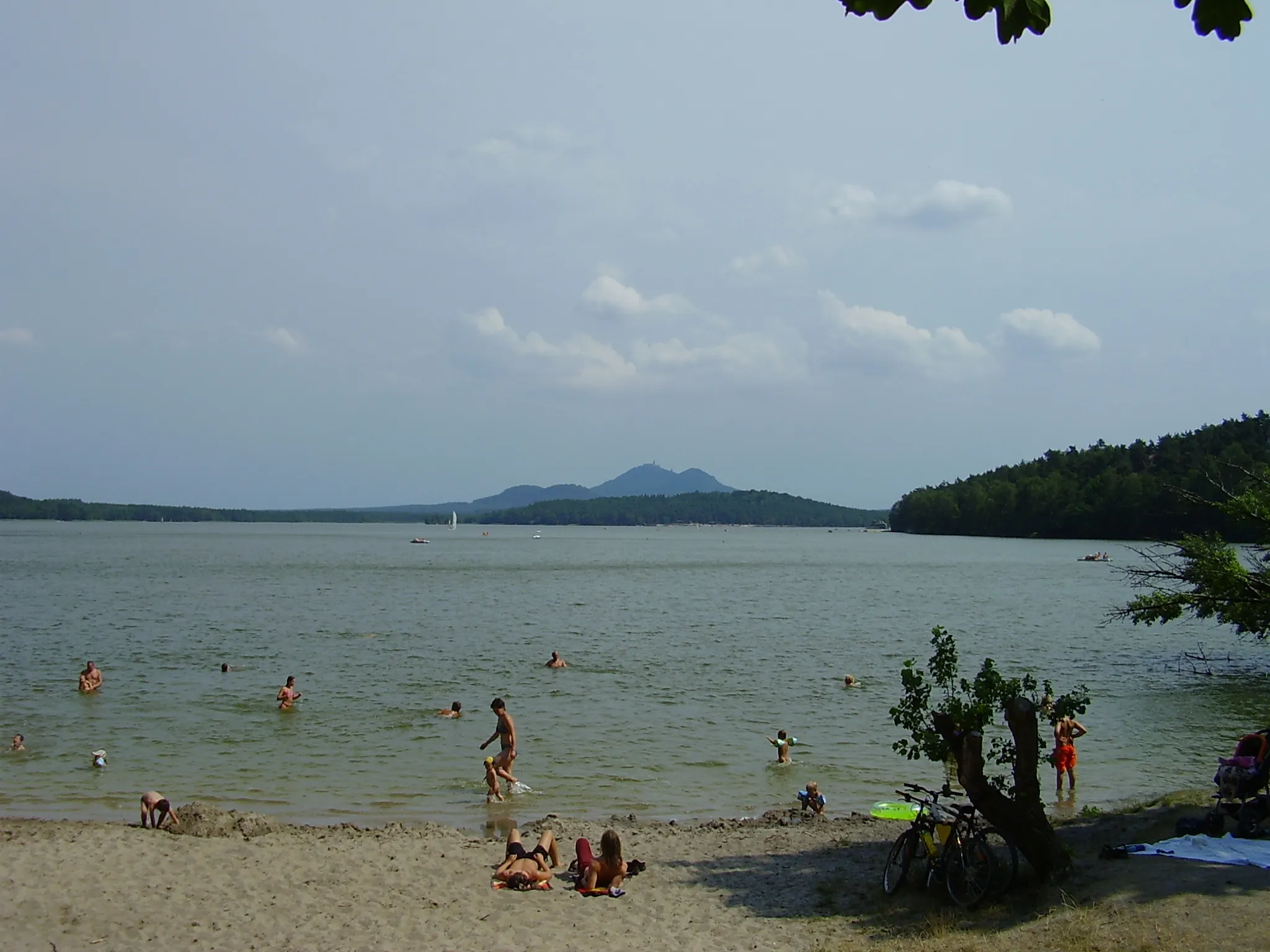 Photo showing: Lake Máchovo jezero, view from Staré Splavy