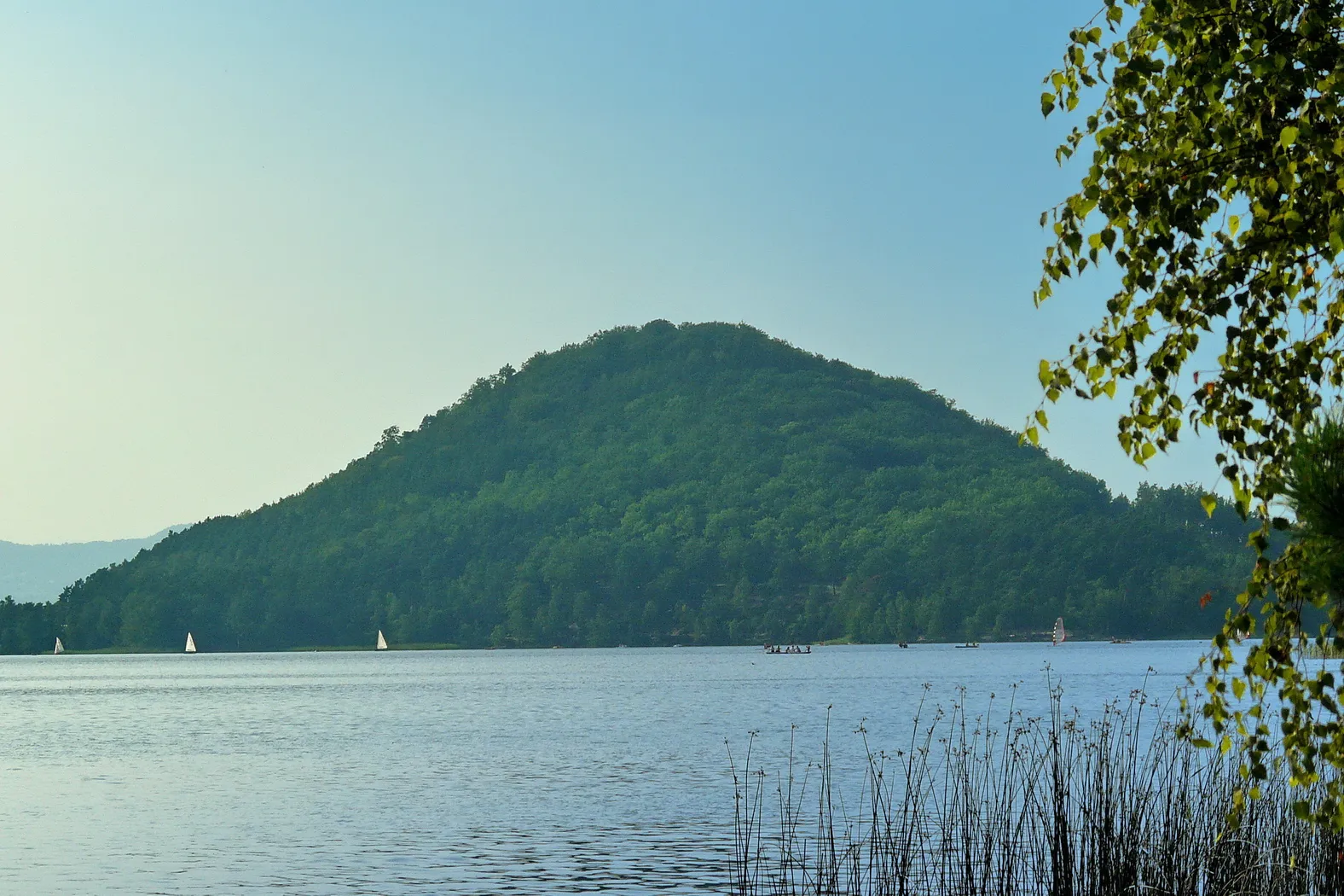 Photo showing: Vrch Šroubený nad Máchovým jezerem, od NPP Swamp