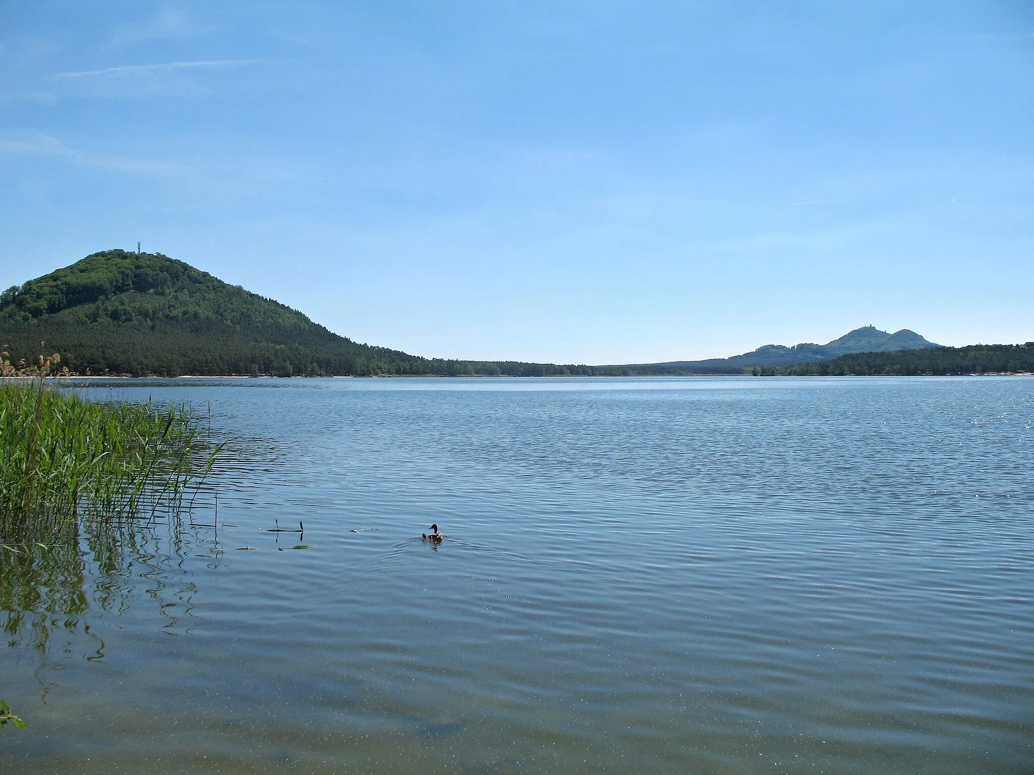 Photo showing: Na břehu Máchova jezera pod Šroubeným ve Starých Splavech