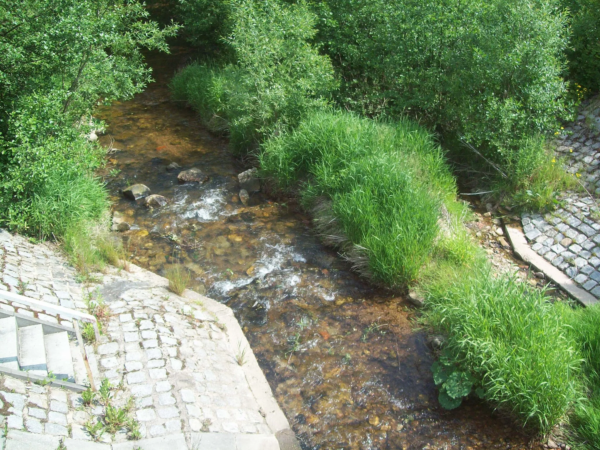 Photo showing: Nysa Kłodzka River in Boboszów