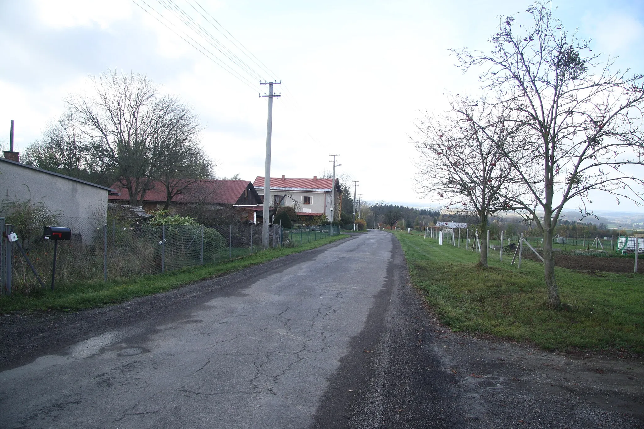 Photo showing: Road in Jahodov, Rychnov nad Kněžnou District