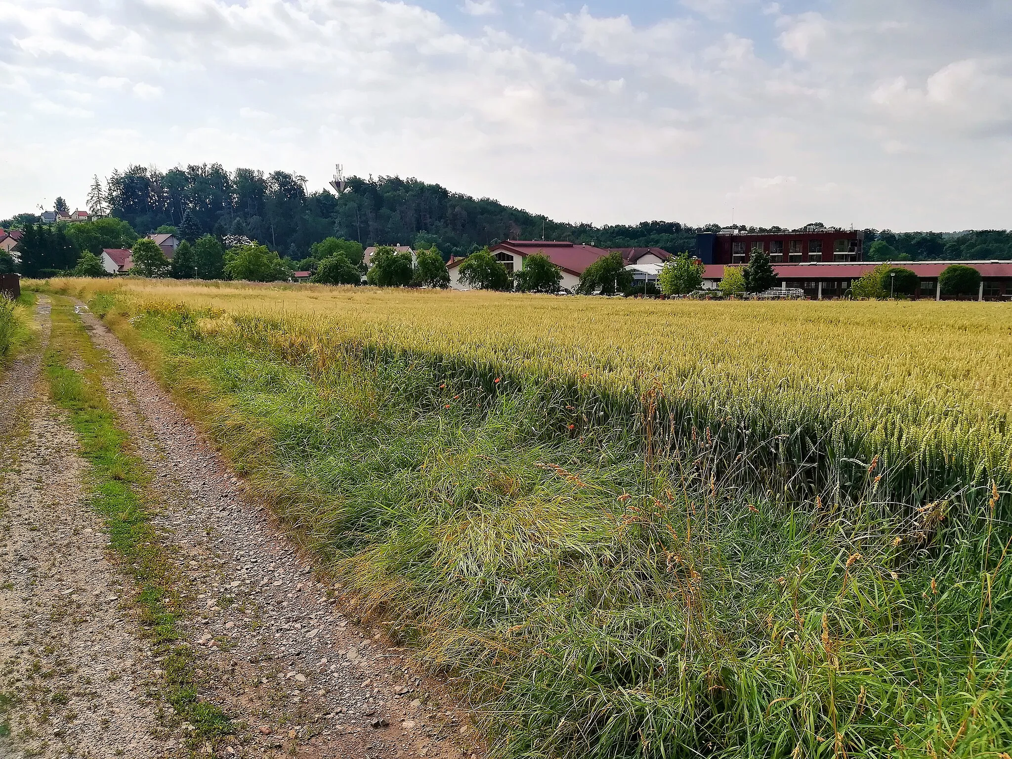 Photo showing: Wzniesienie Za Kostelem w Velichovkach.