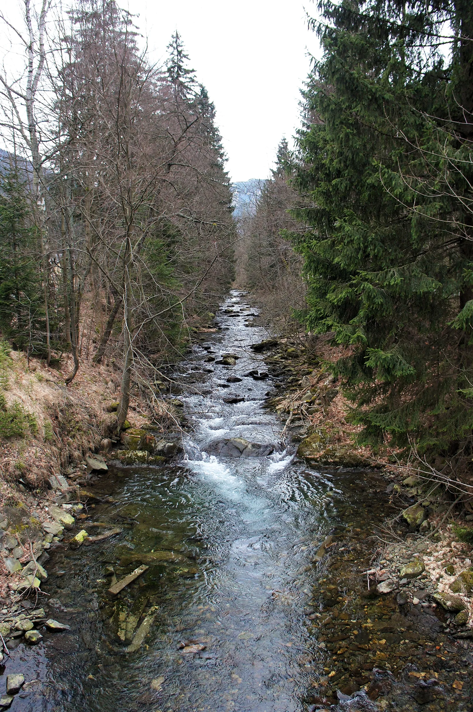 Photo showing: The Desná River in Kouty nad Desnou (Olomouc Region, Czechia).