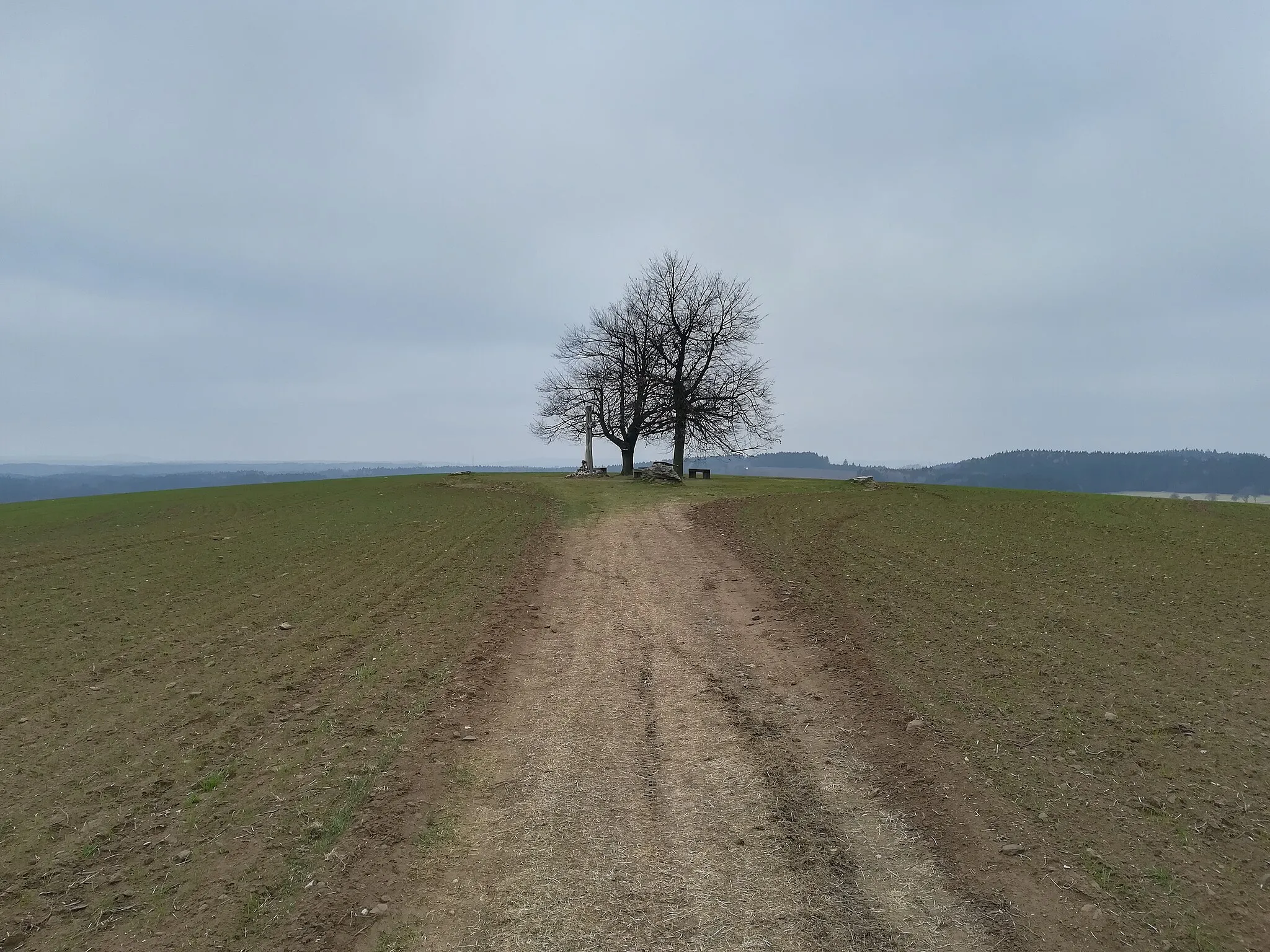 Photo showing: Jámy - cesta k vrchu Vejdoch