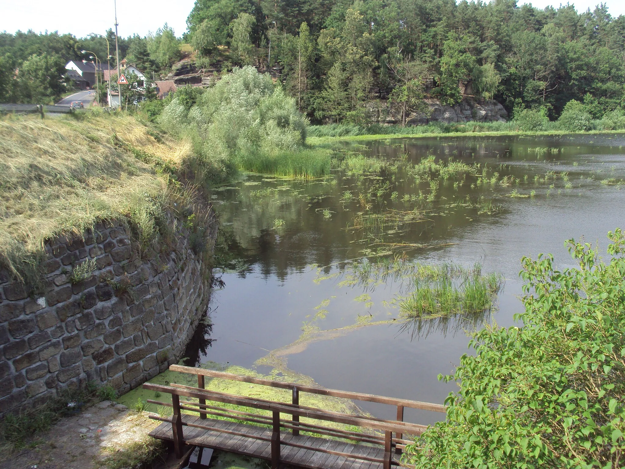 Photo showing: Rybník u výpusti