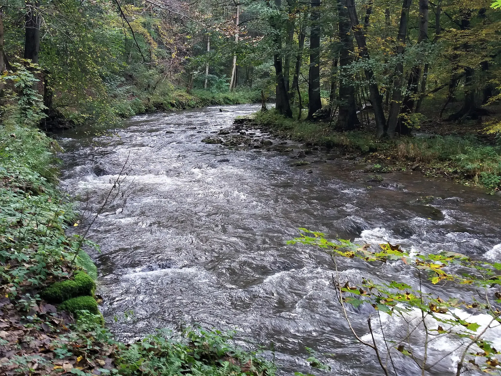 Photo showing: Metuje in Peklo Gorge upstream of Olešenka mouth