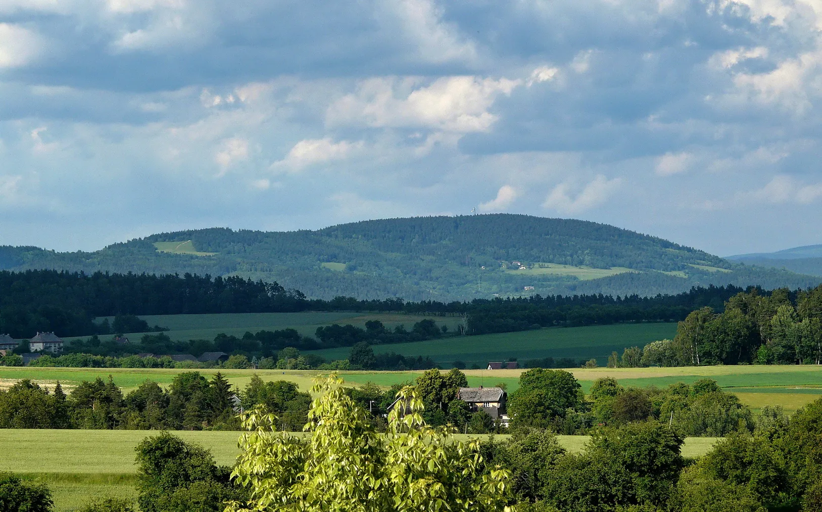 Photo showing: Javorník z Hlavice