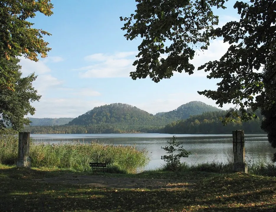 Photo showing: Na břehu hamerského rybníka