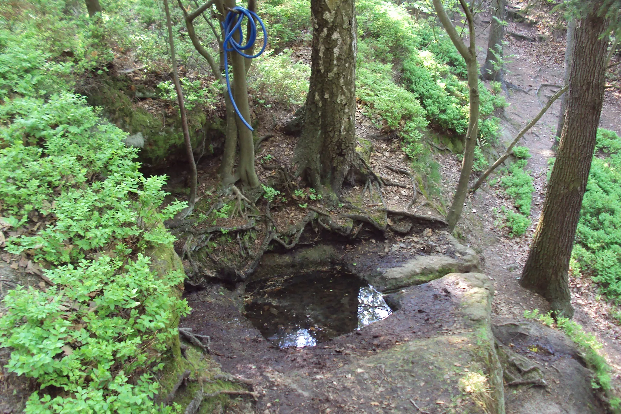 Photo showing: Na zelené trase z jihu od Nových Osinalic ve skalním městě u Rače je tato studánka či nádržka