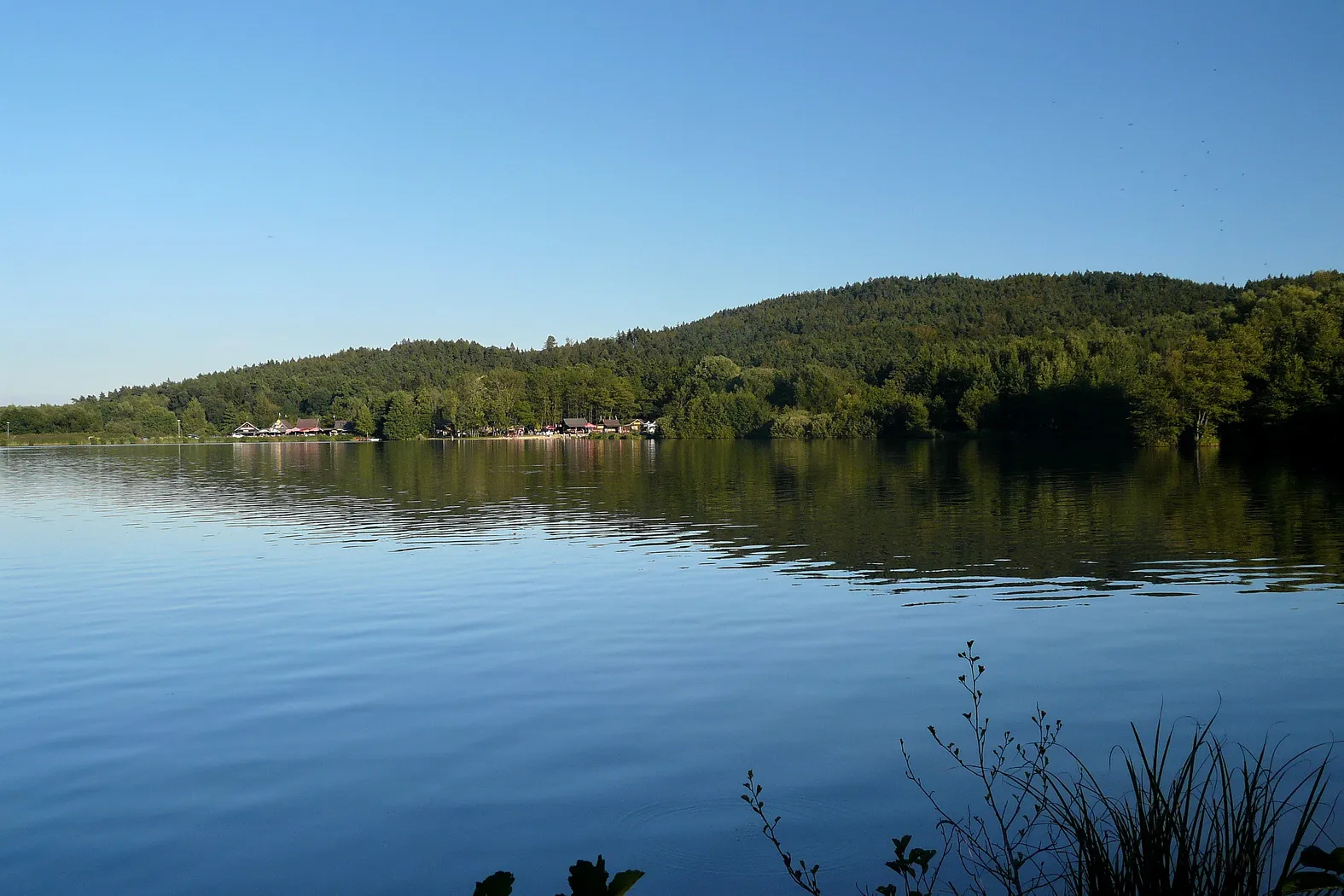 Photo showing: Oborský rybník a prachovský hřeben