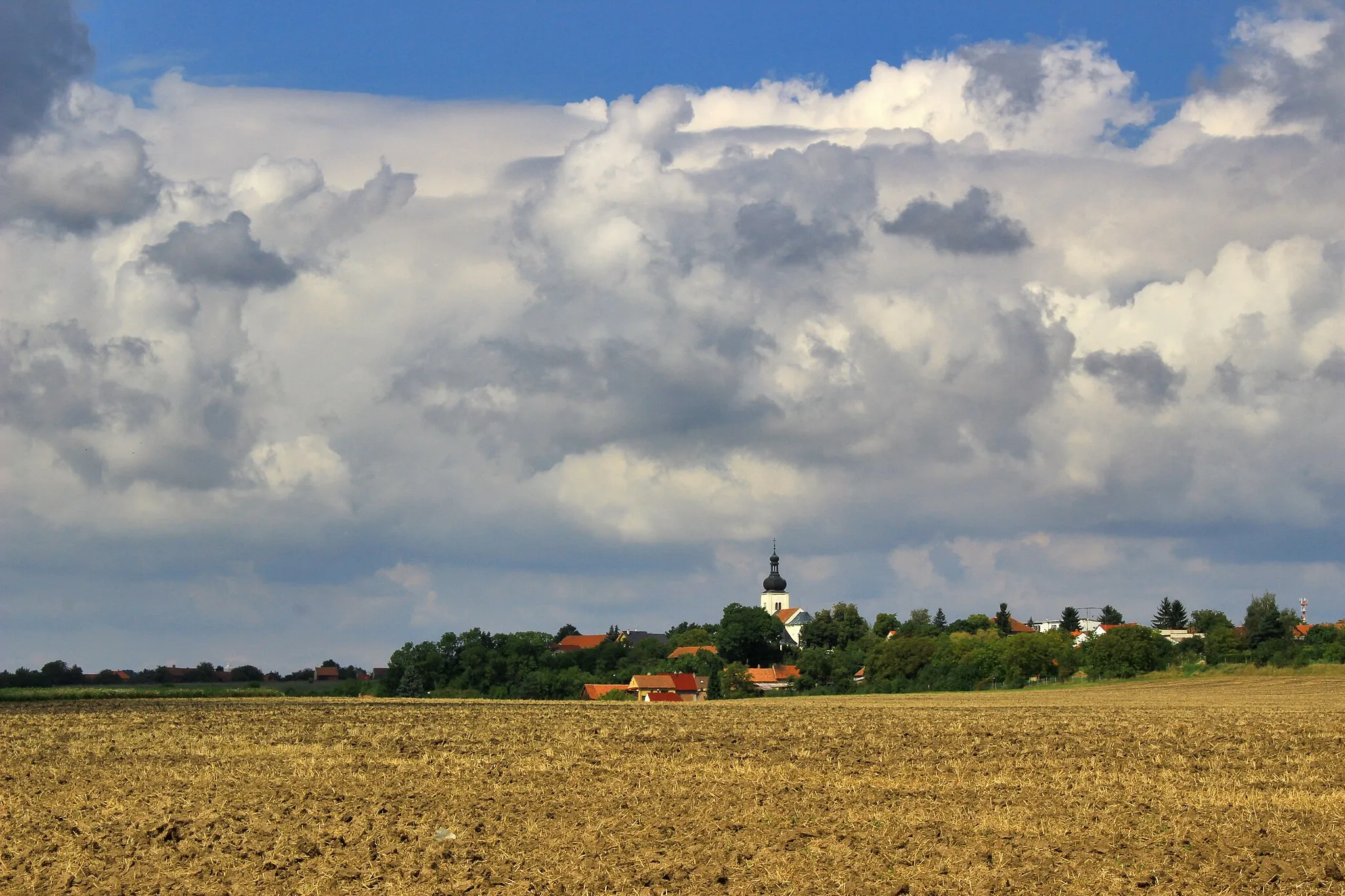 Photo showing: the summer