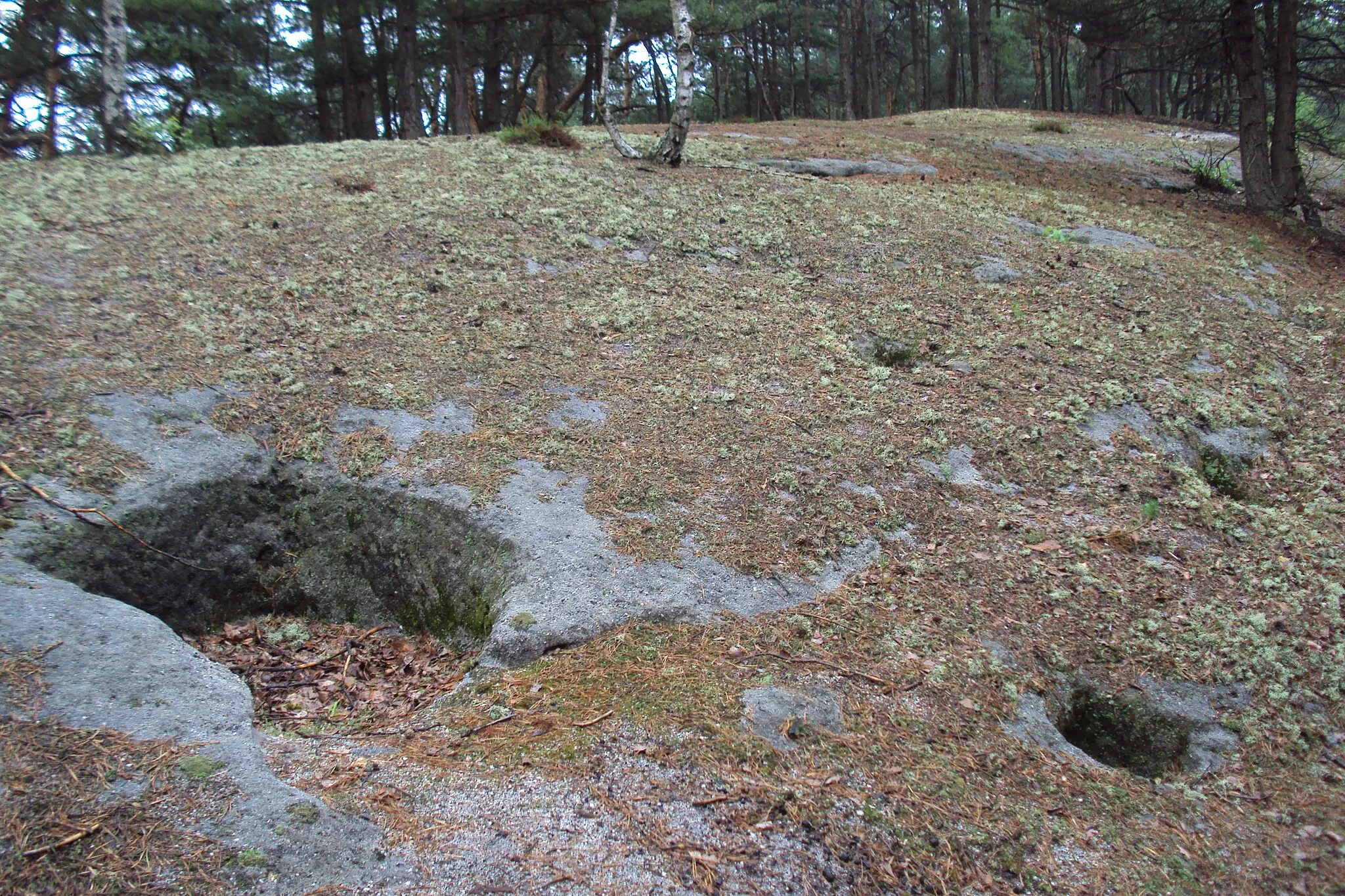 Photo showing: Skalnatý Konvalinkový vrch poblíž Máchova jezera
