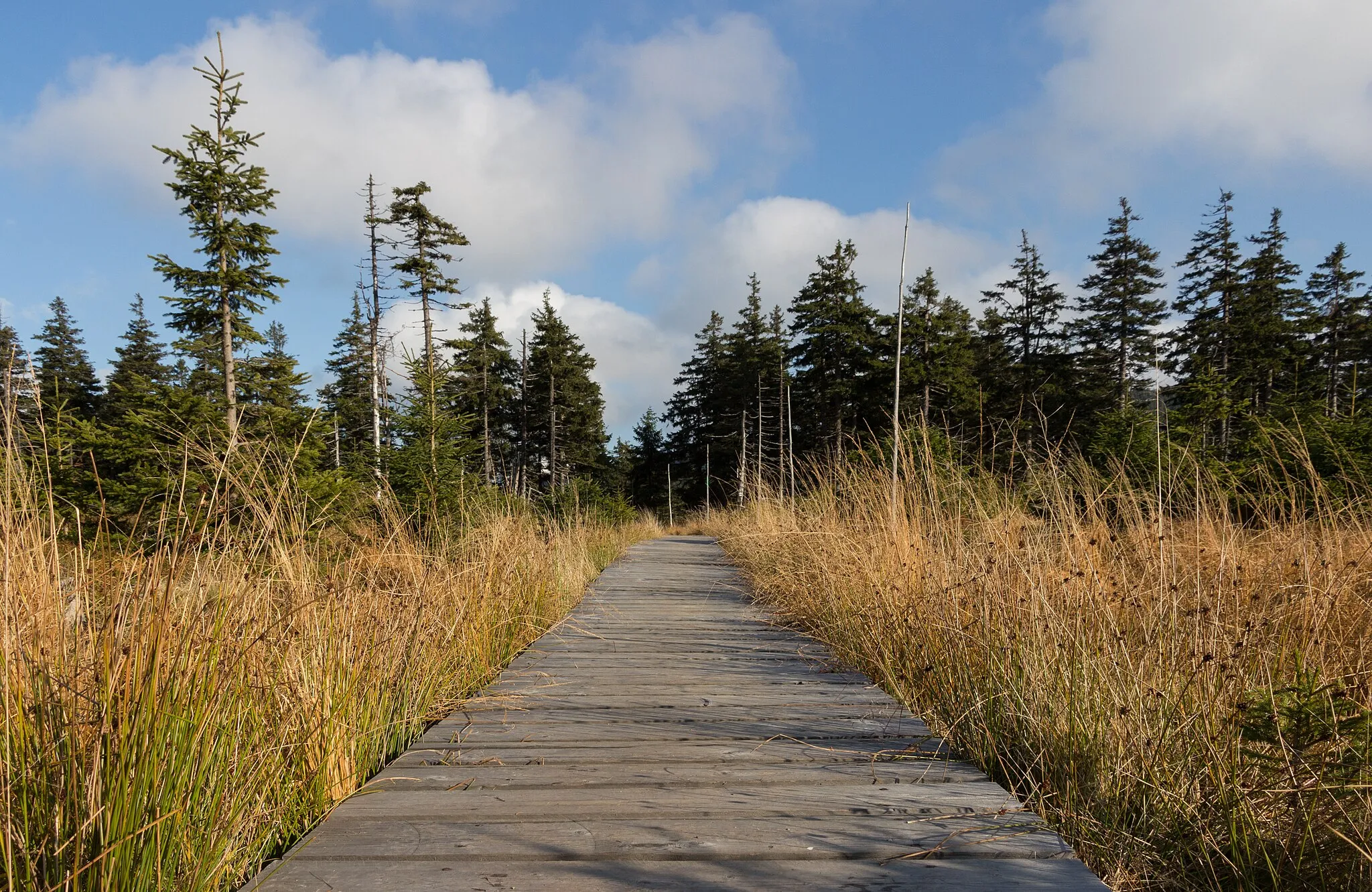 Photo showing: Boardwalk on the top of Malý Jezerník Mountain (1208m). The boardwalk is a part of E3 European long distance path. Jeseníky, Czech Republic