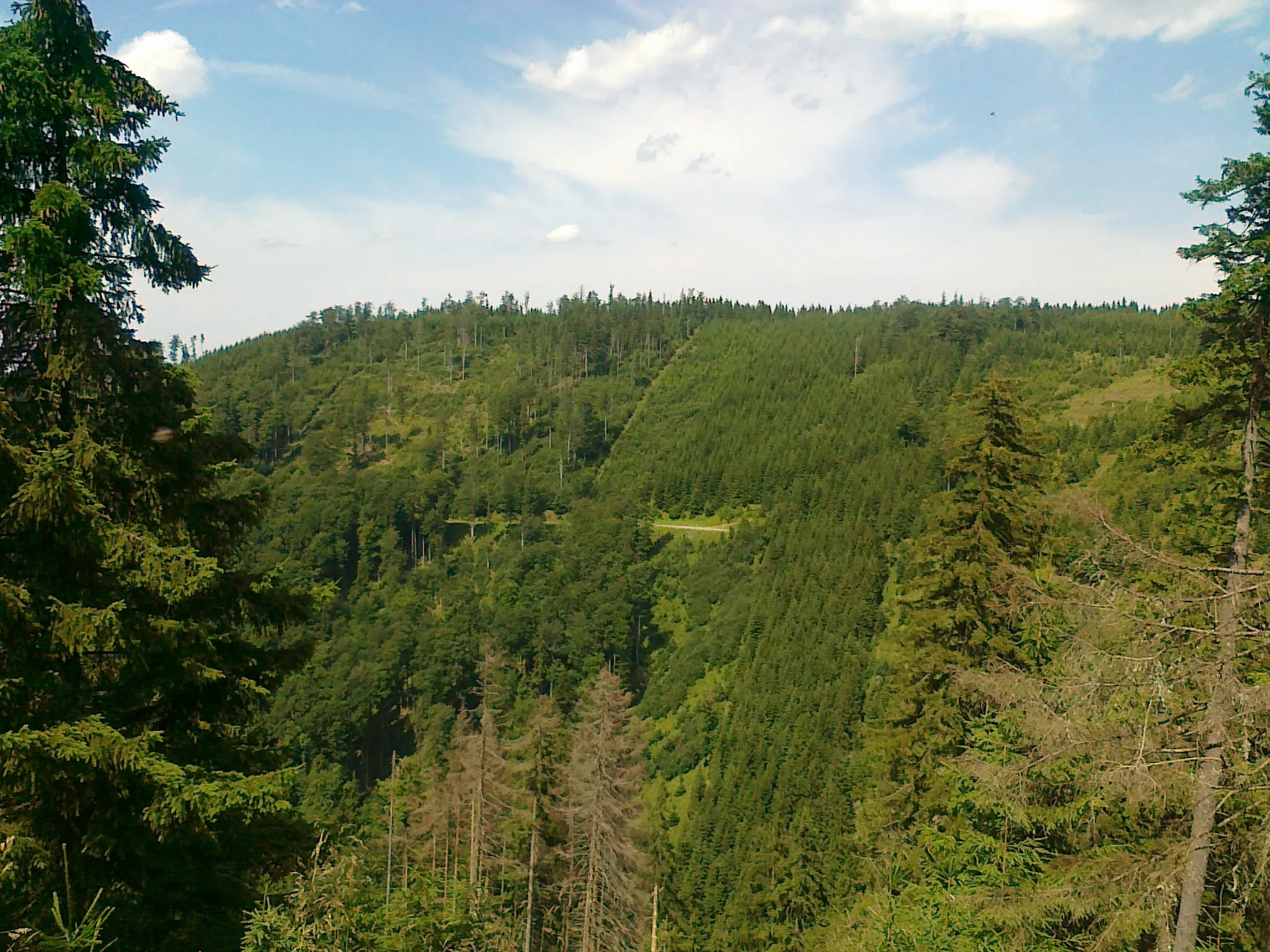 Photo showing: Widok ze ścieżki rowerowej nr 6074 na góry Velké Bradlo-Z - 1043 m i Velké Bradlo - 1050 m