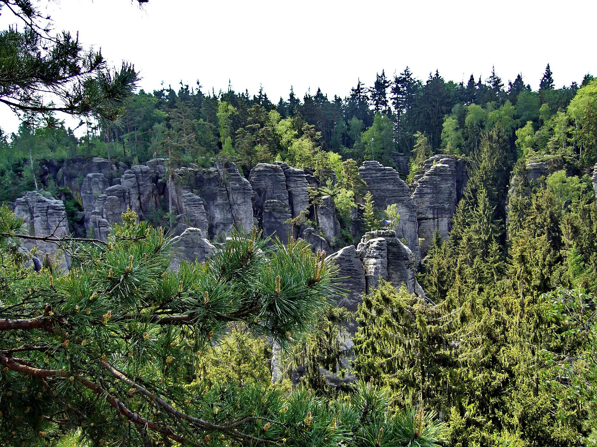 Photo showing: Prachovské skály, Blata