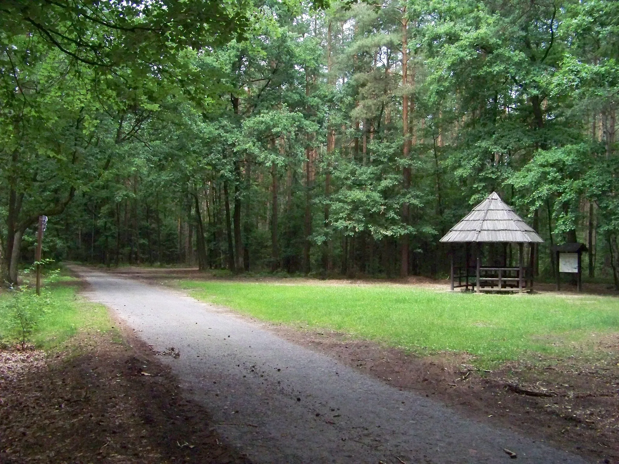 Photo showing: Újezd u Chocně, Ústí nad Orlicí District, Pardubice Region, the Czech Republic. Čertův dub hill, near the summit.