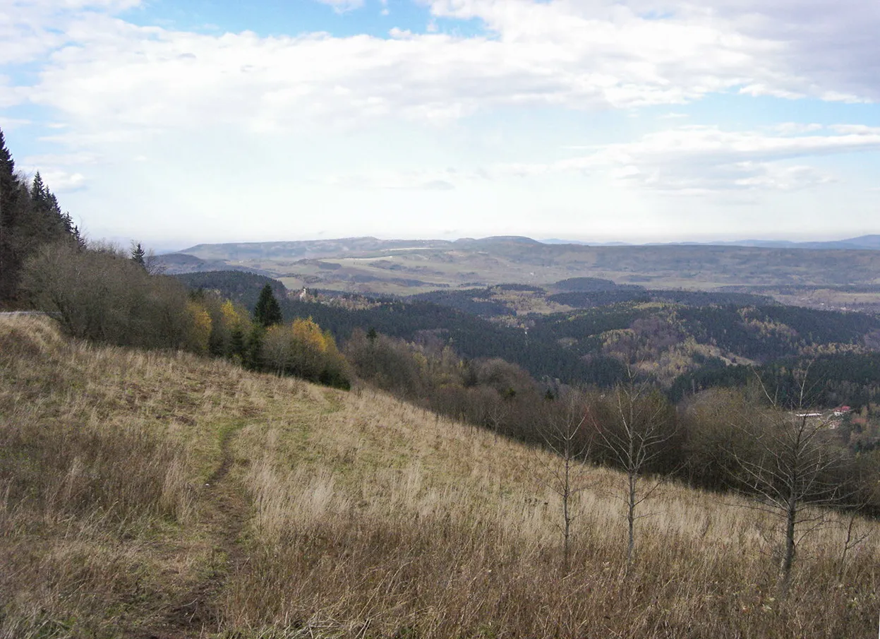 Photo showing: Góry Orlickie - Sołtysia Kopa - widok w stronę Gór Stołowych