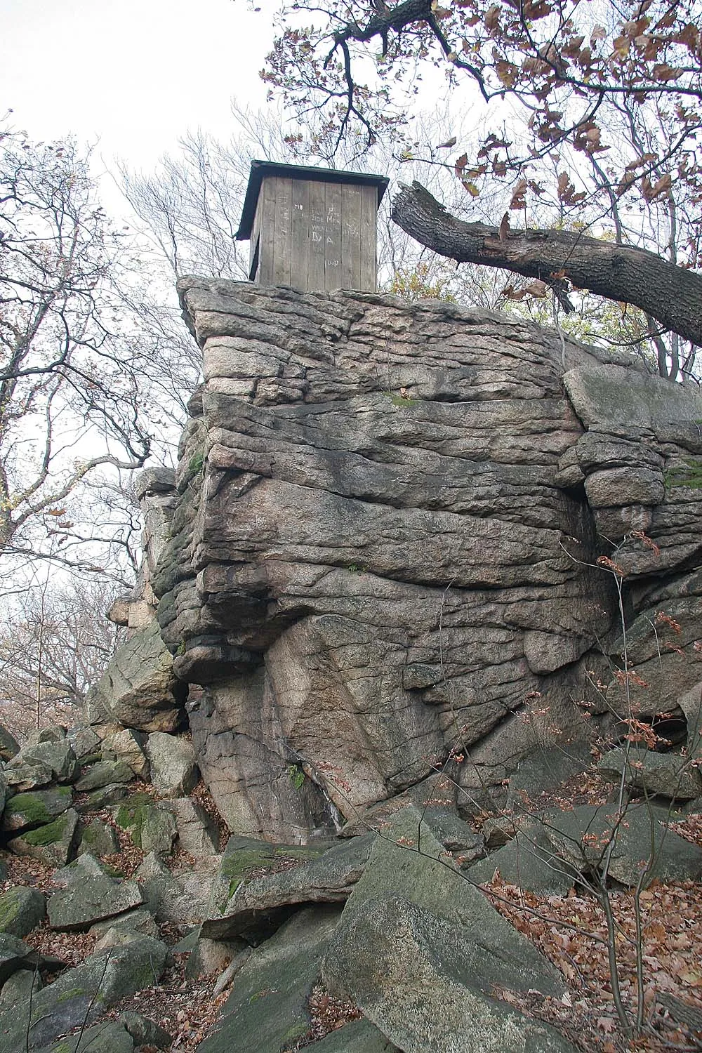 Photo showing: Natural monument Tisá skála, Kutná Hora District, Czech Republic
skály na vrcholu
autor: Prazak

date: 8. 11. 2006