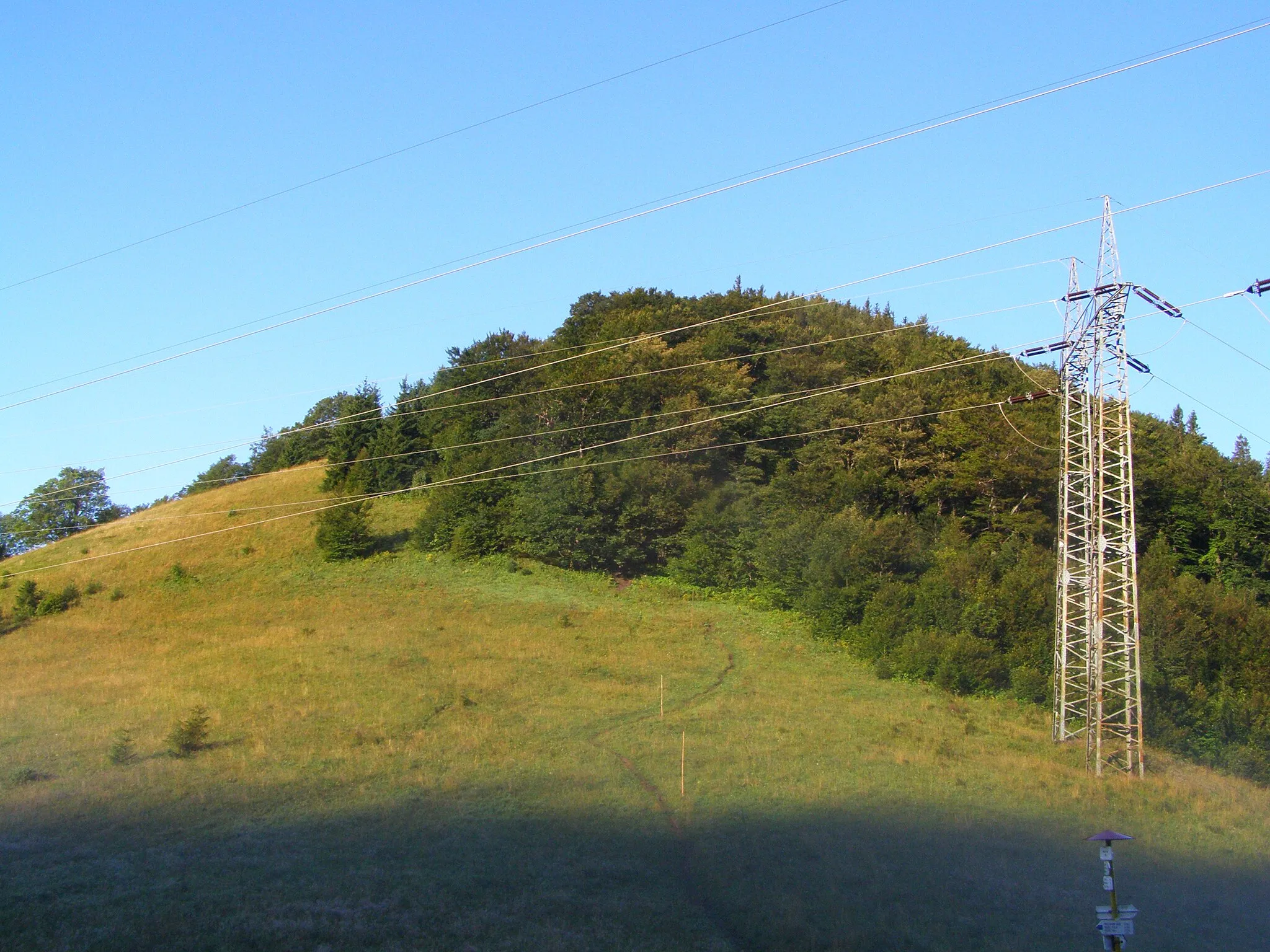 Photo showing: Hiadeľské sedlo na rozhraní Starohorských vrchů (Kozí chrbát, 1330 m) a Nízkých Tater (Prašivá, 1652 m); pohled na úbočí Kozího chrbátu