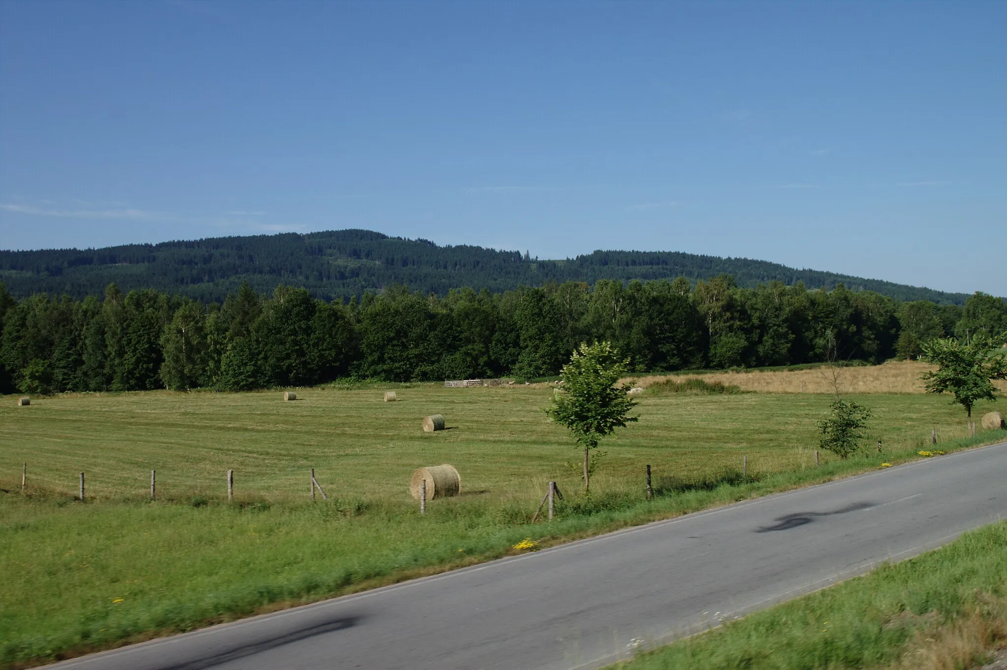 Photo showing: A meadow east from Lichkov, Pardubice Region, CZ