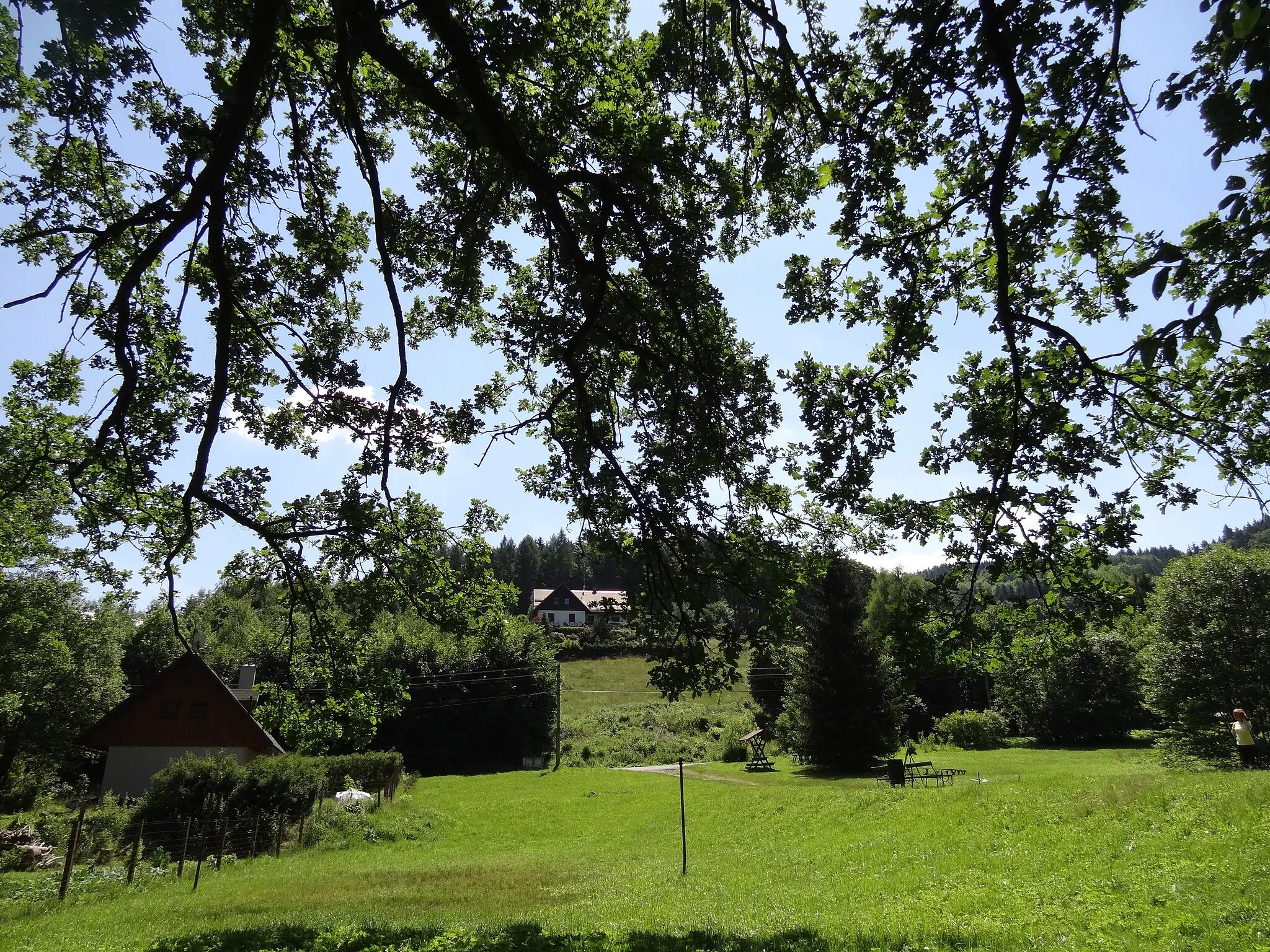 Photo showing: Památný dub letní u Vlčího potoka zhruba 20 m od kryštofodolského koupaliště