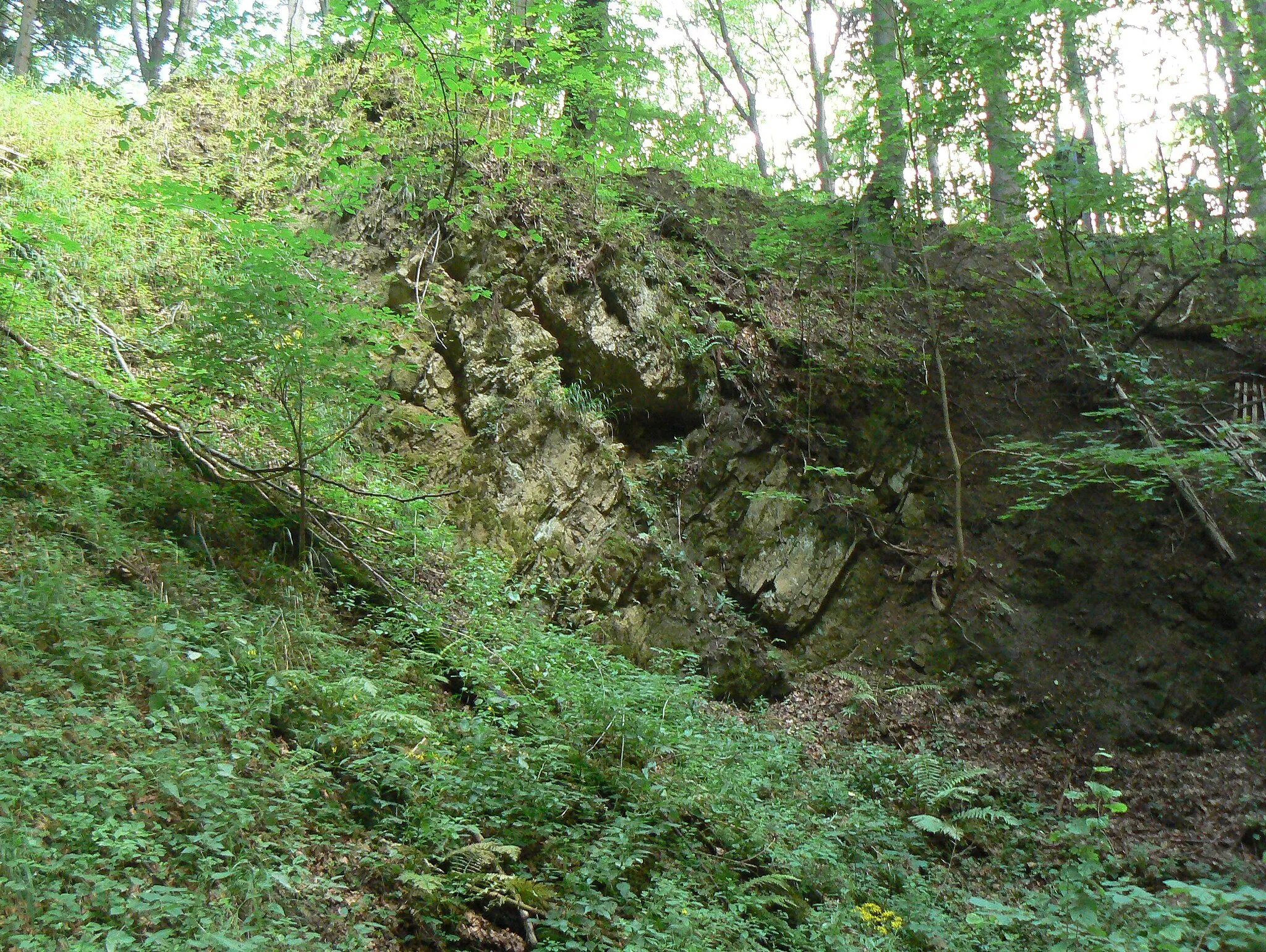 Photo showing: old quarry with Jurassic limestones, Nature reserve Vápenka