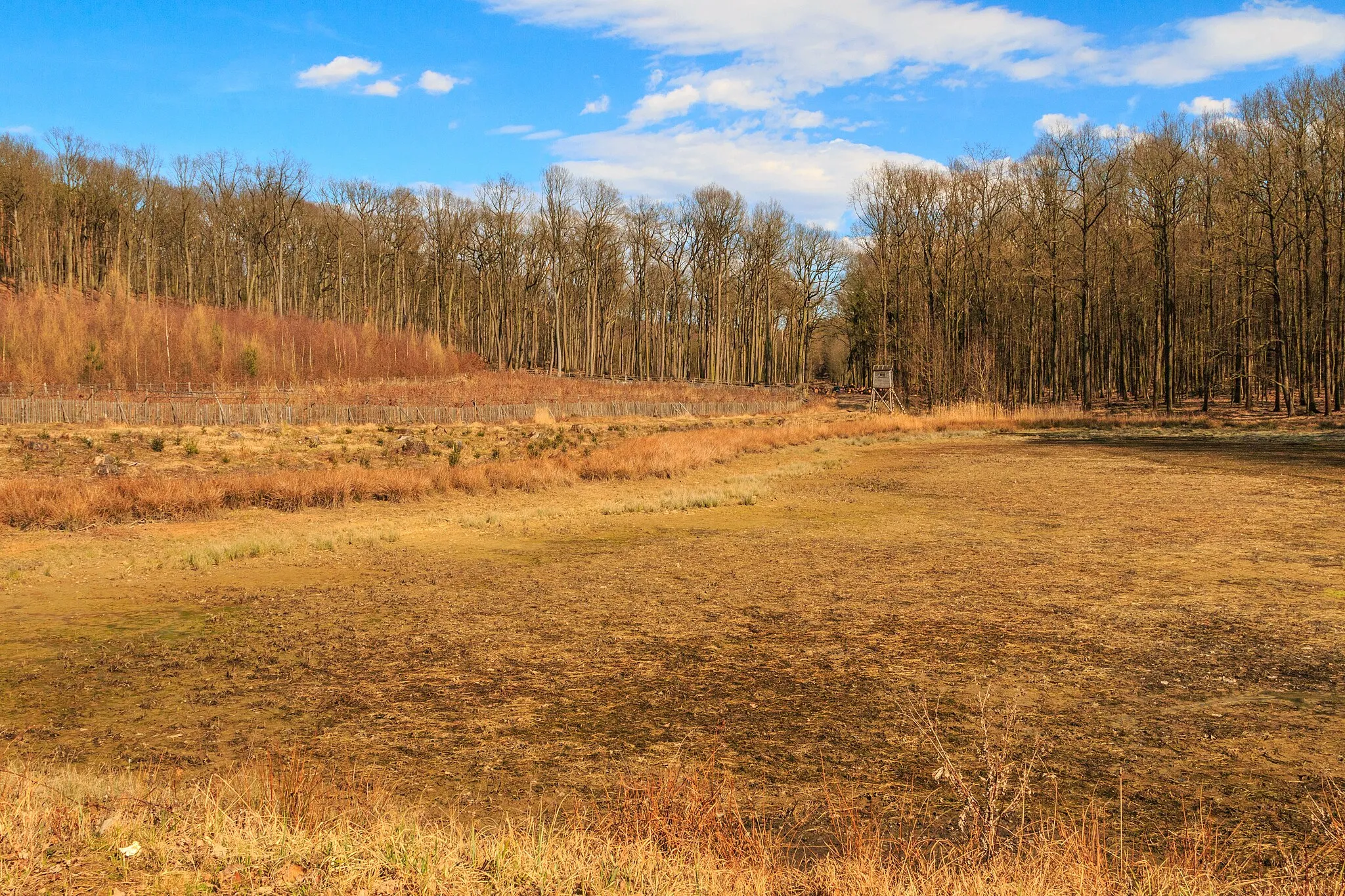 Photo showing: Běloveské rybníčky - Horní rybník