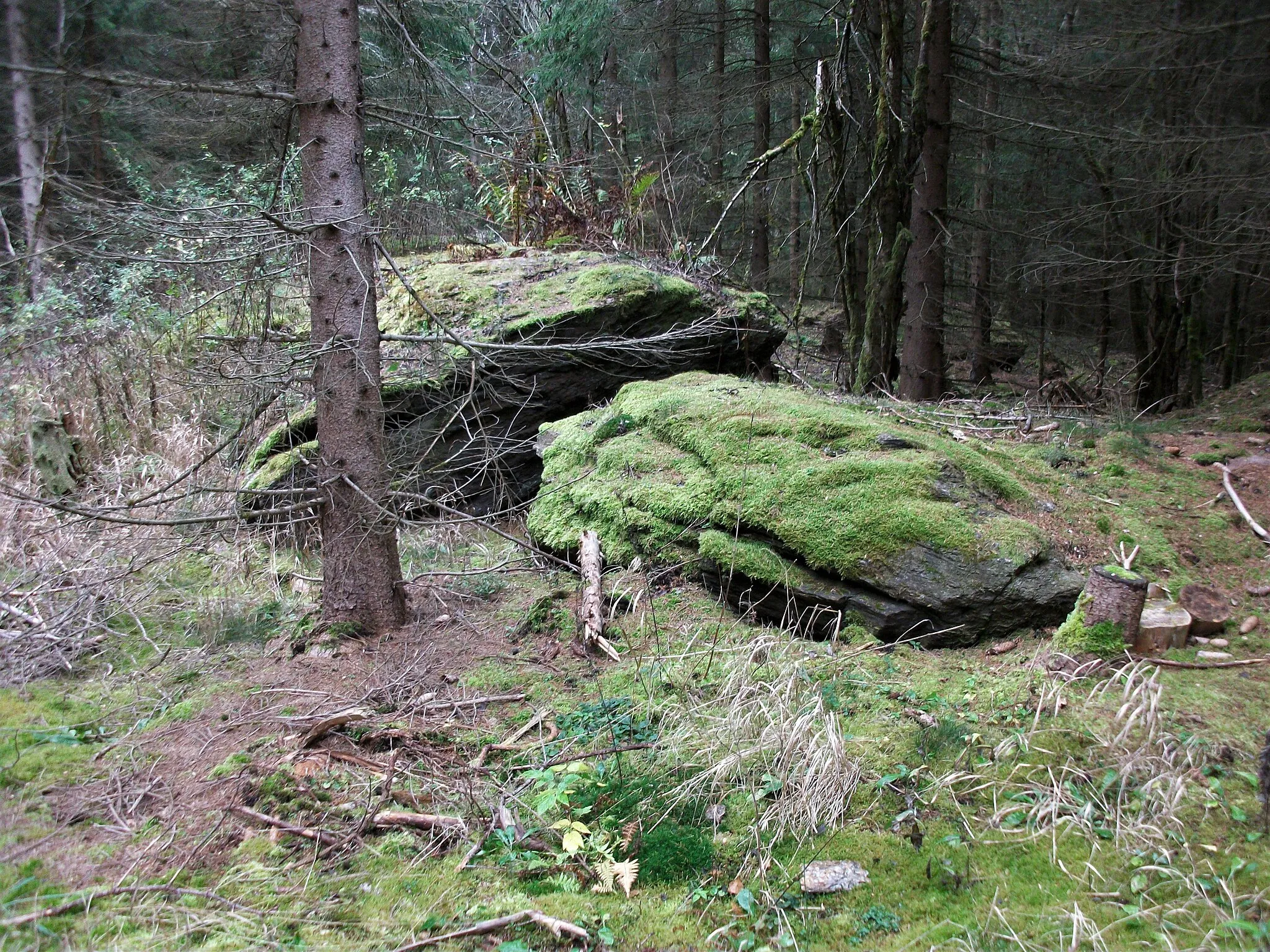 Photo showing: Felsen auf dem Berg Feuerturm