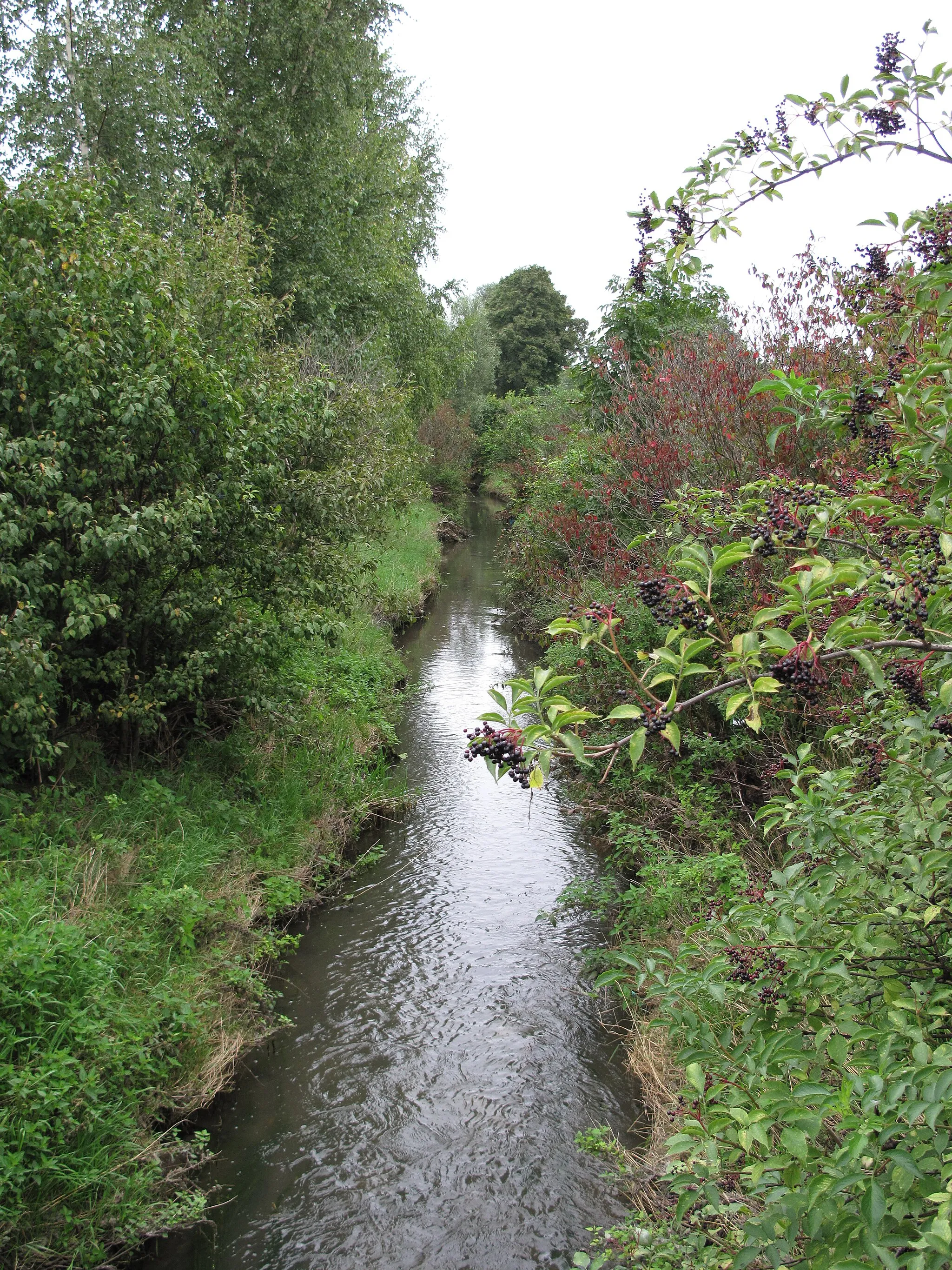 Photo showing: Modla Stream near Želoechovice village, Litoměřice District, Czech Republic.