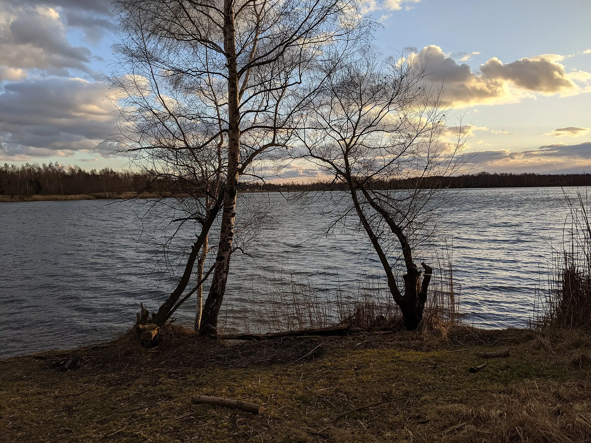 Photo showing: Oldřichov (Ullersdorf) u Duchcova - jezero Barbora