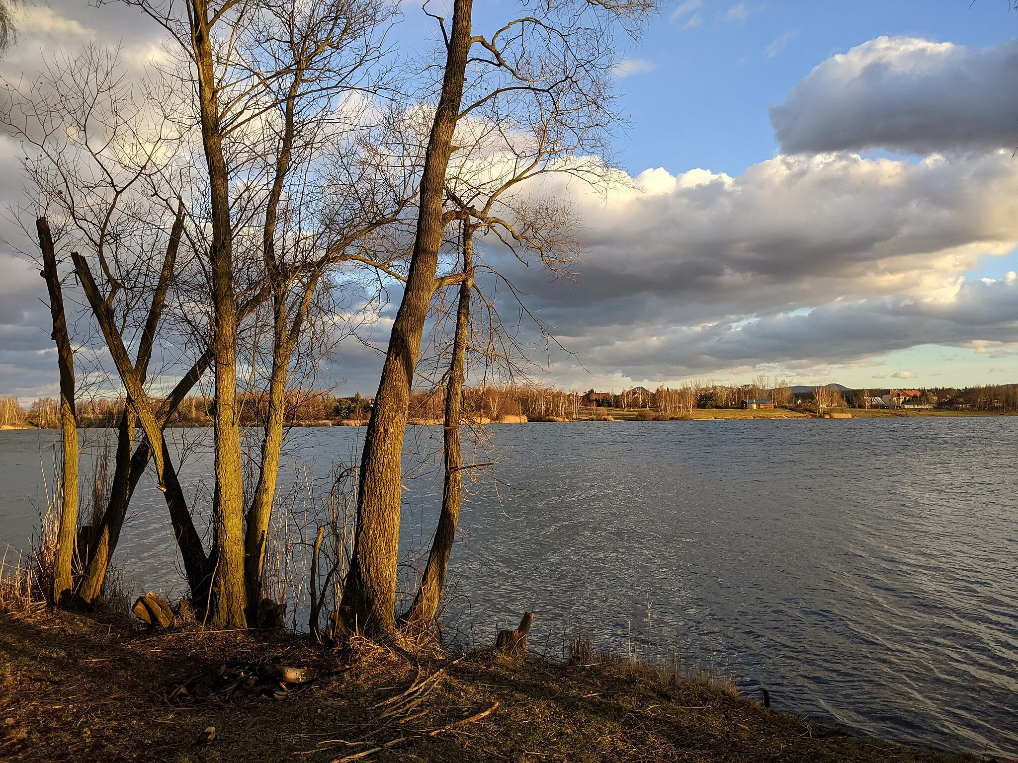 Photo showing: Oldřichov (Ullersdorf) u Duchcova - jezero Barbora