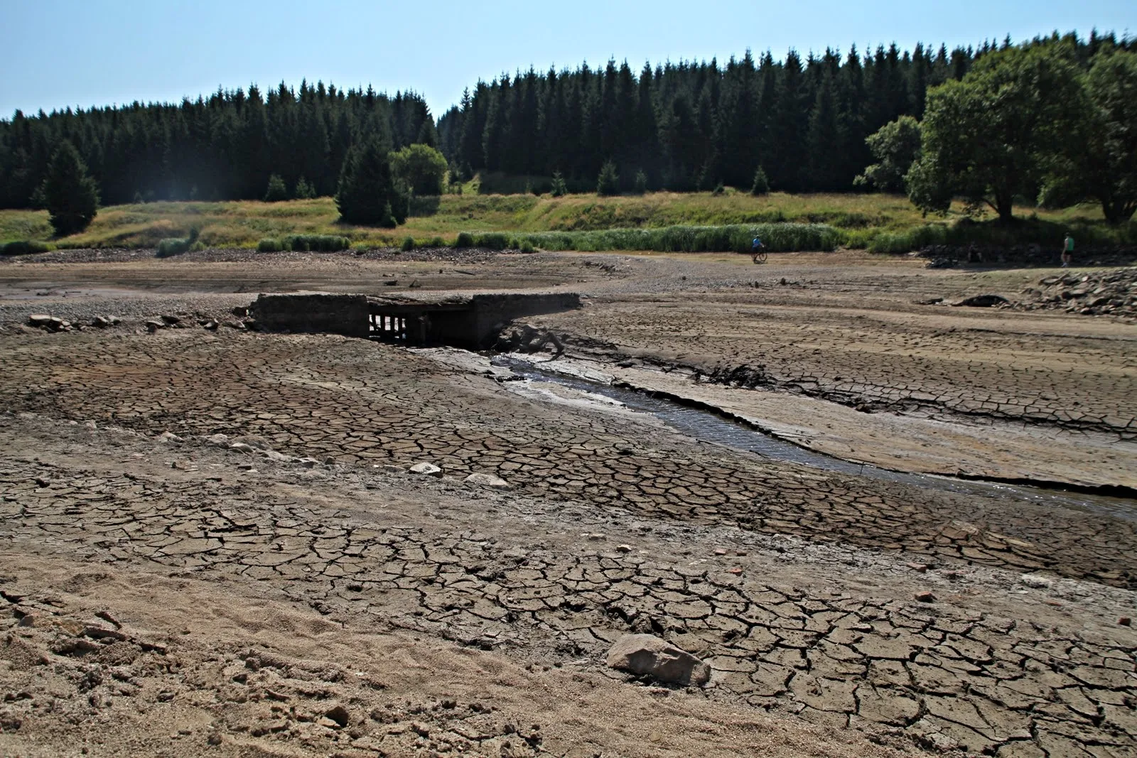 Photo showing: Fláje - nízký stav vody