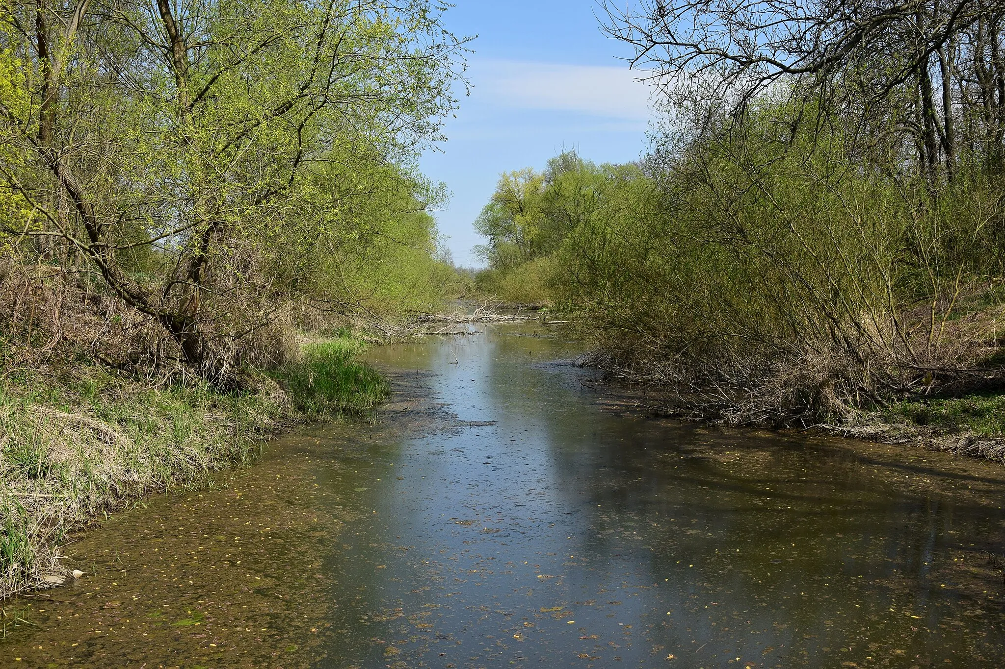 Photo showing: Rybňany – slepé rameno Ohře u Rybňan (EVL Ohře)