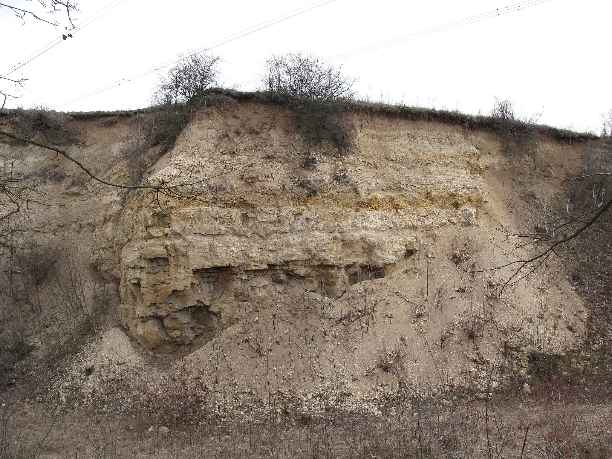 Photo showing: Natural monument "Miocenní sladkovodní vápence" (Miocene freshwater limestones) near Tuchořice village, Louny District, Czech Republic.