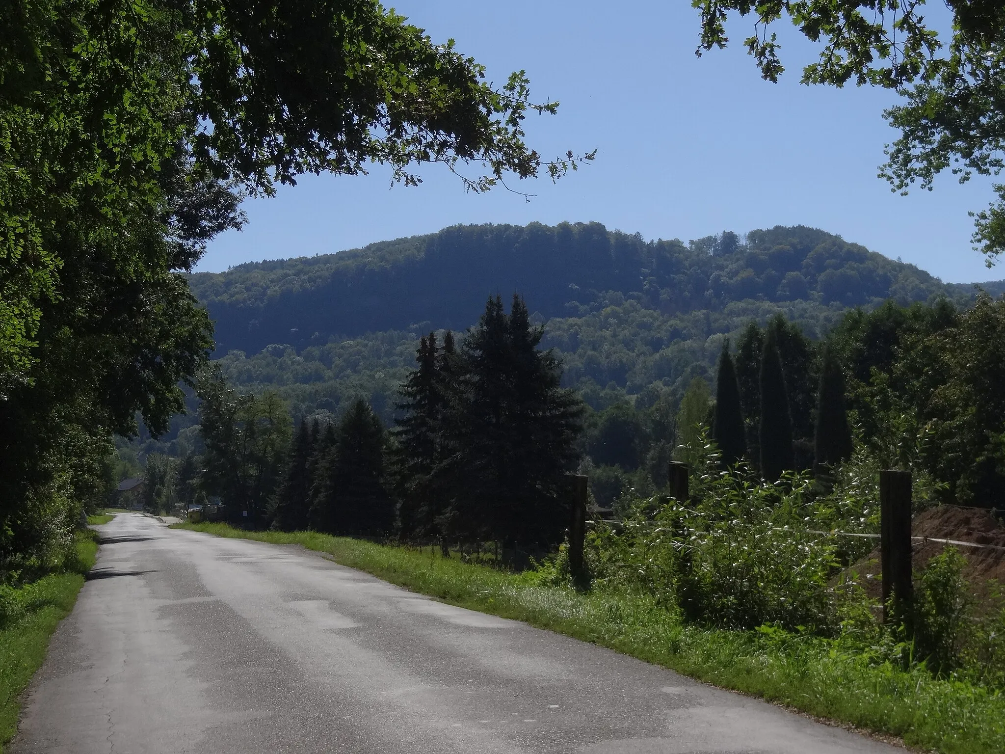 Photo showing: NPP Březinské tisy - celkový pohled na stráň s chráněným územím (Bechlejovickou stěnu) z Březin