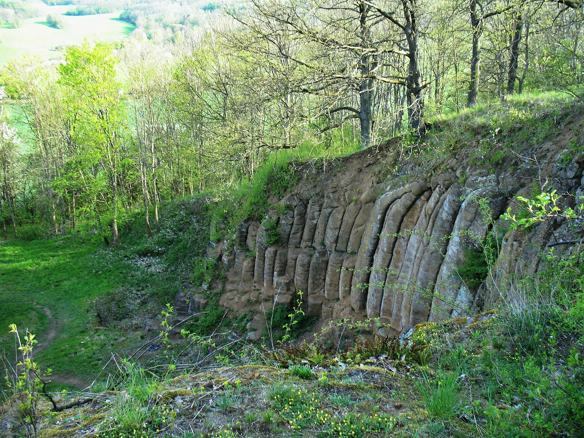 Photo showing: National natural monument Dubí hora, Konojedy, Litoměřice District