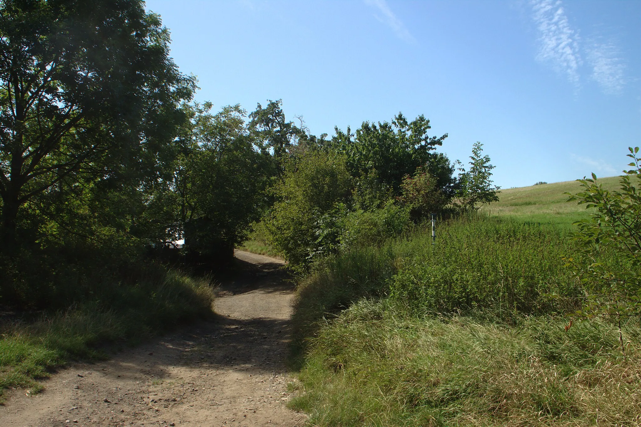 Photo showing: A path from Pokratice to Skalice north from Litoměřice, Ústí Region, CZ