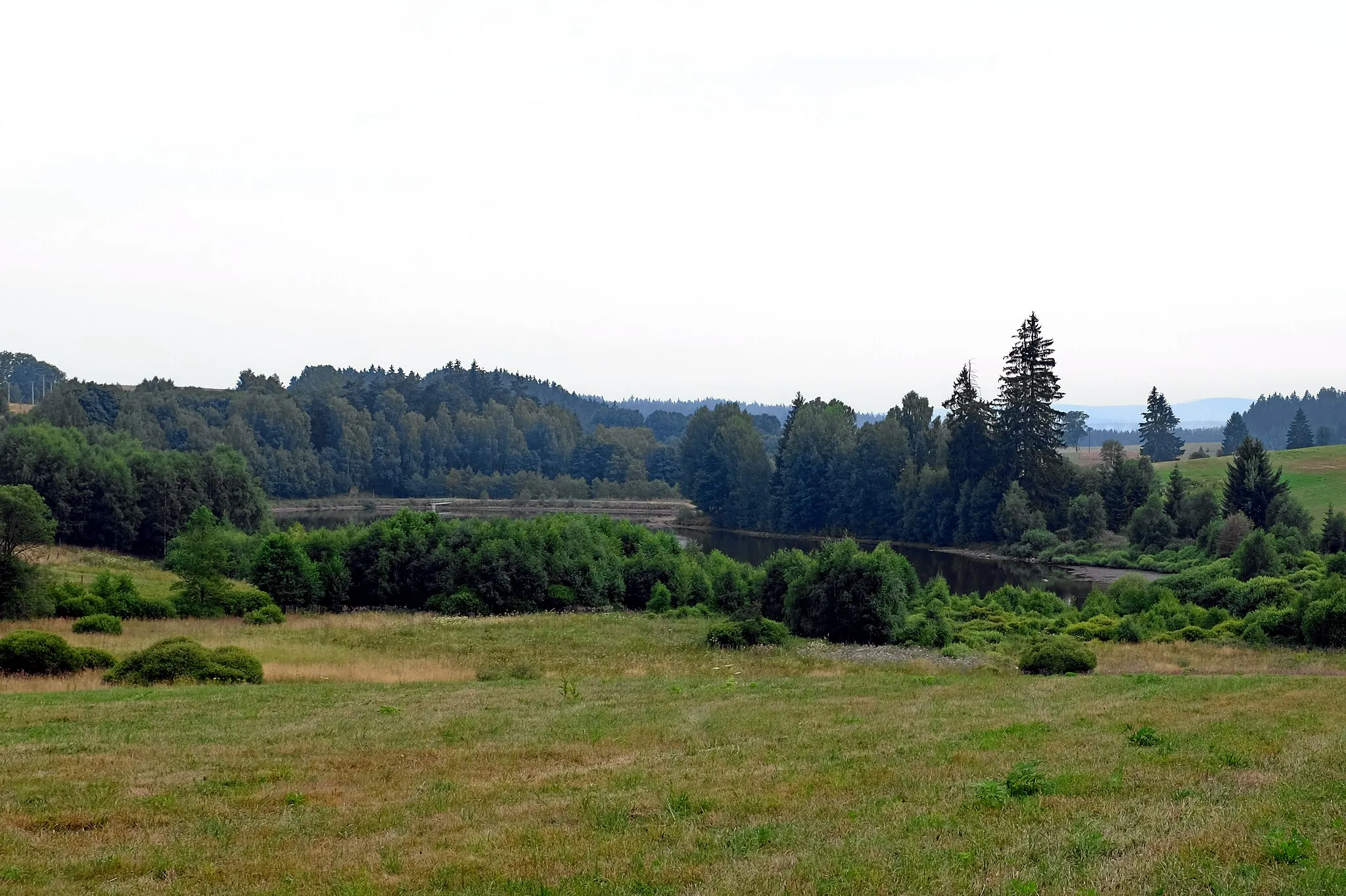 Photo showing: Rybník u Tachovské Huti, Český les