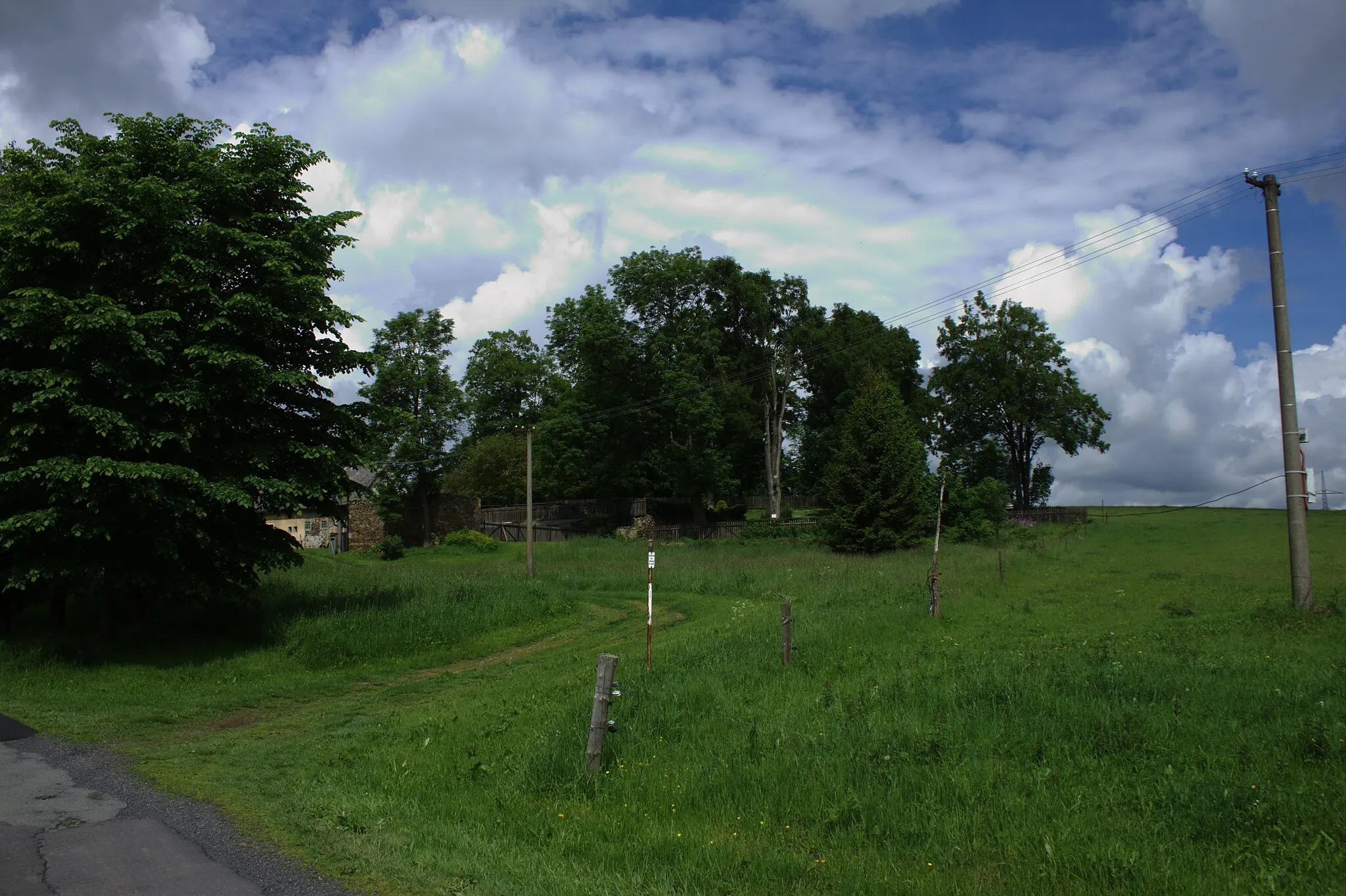 Photo showing: Some trees by the village of Hoštec, Karlovy Vary Region, CZ